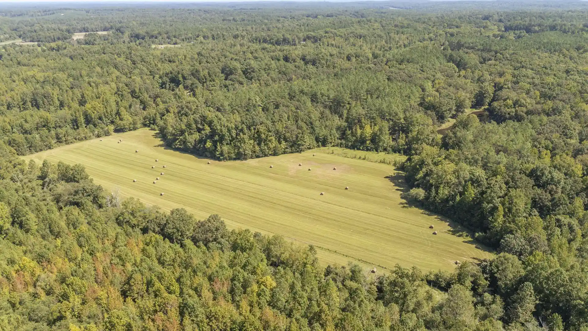 Photo 3 of Land for sale at 00 Beauty Hl Rd, Adamsville, TN 38310 | MLS# 10230465 | Listing updated on 2026-09-15