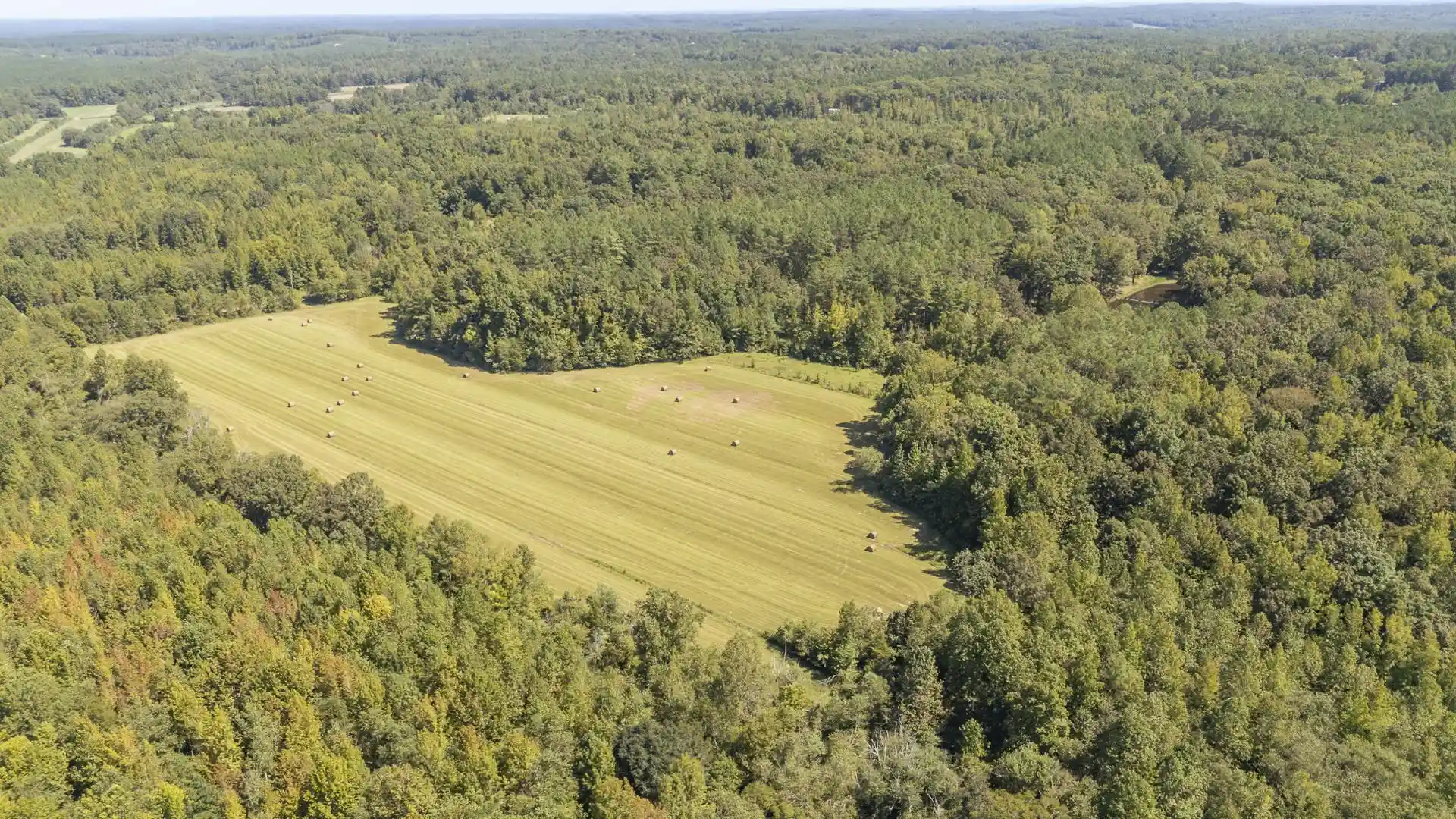 Photo 3 of Land for sale at 00 Beauty Hl Rd, Adamsville, TN 38310 | MLS# 10230465 | Listing updated on 2026-09-15