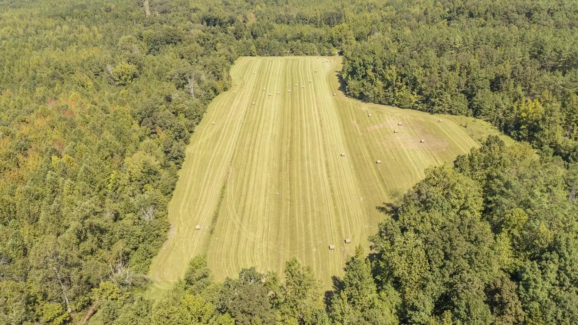 Photo 4 of Land for sale at 00 Beauty Hl Rd, Adamsville, TN 38310 | MLS# 10230465 | Listing updated on 2026-09-15