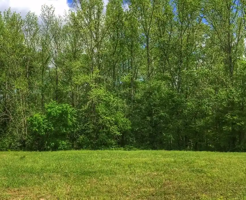 Photo 1 of Land for sale at 220 Ridgecrest Dr, Arlington, TN 38002 | MLS# 10230512 | Listing updated on 2026-09-16