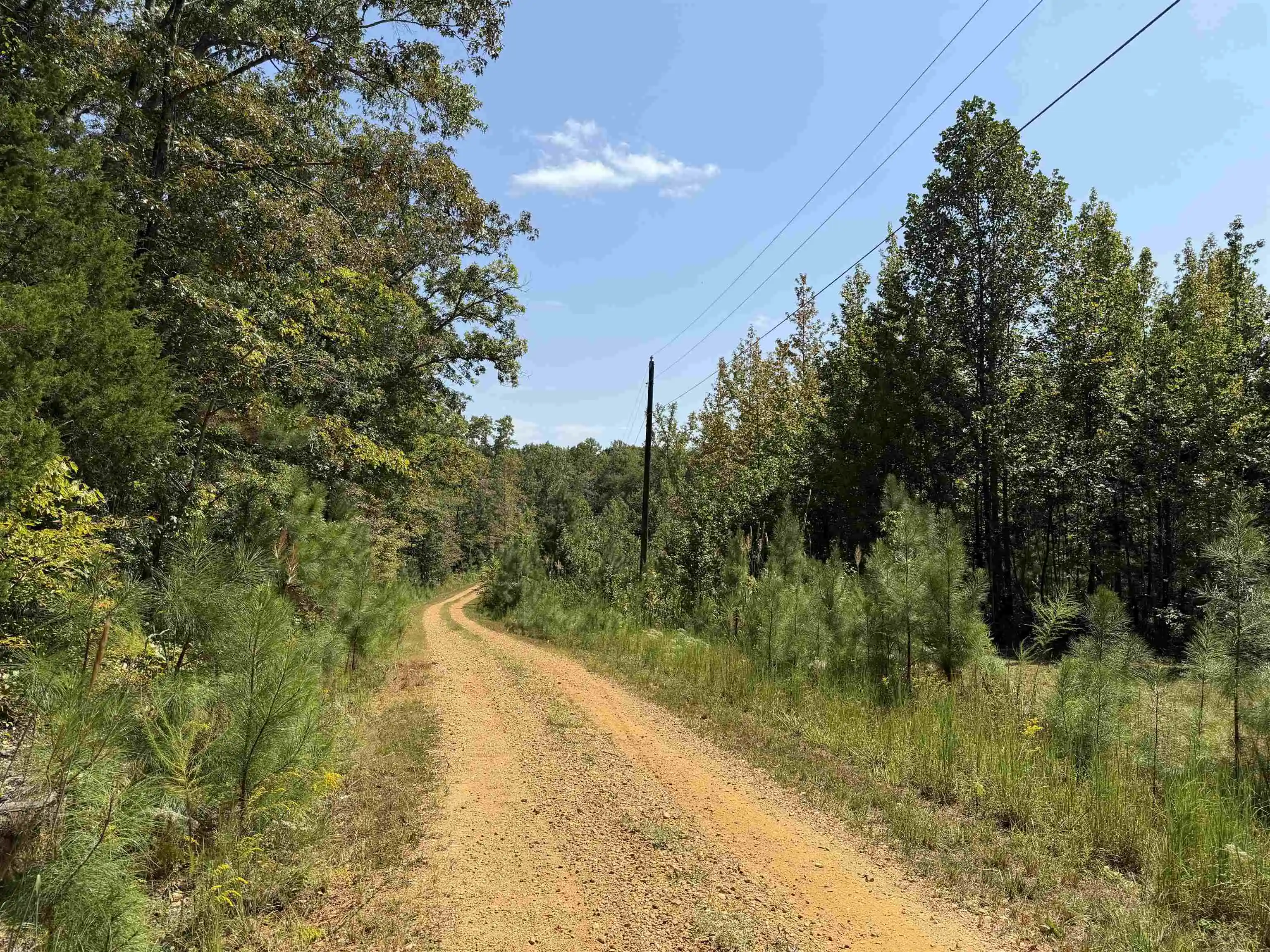 Photo 4 of Single family home for sale at 7080 Beauty Hl Rd, Adamsville, TN 38310 | MLS# 10230532 | Listing updated on 2026-09-16