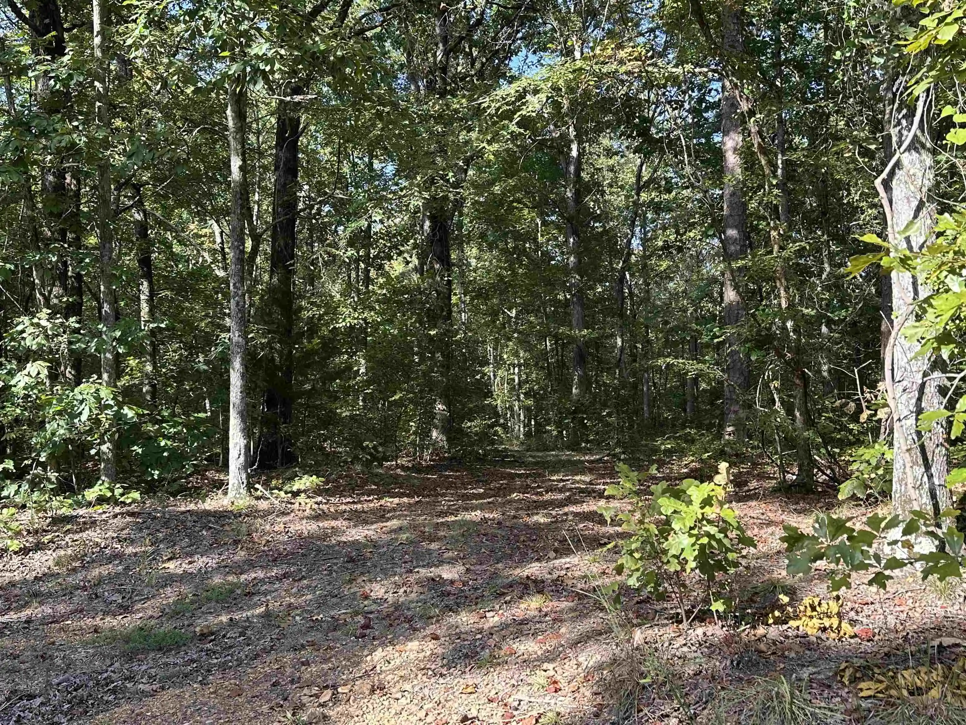 Photo 2 of Land for sale at 751 Paradise Dr, Waterloo, AL 35677 | MLS# 10230536 | Listing updated on 2026-09-16