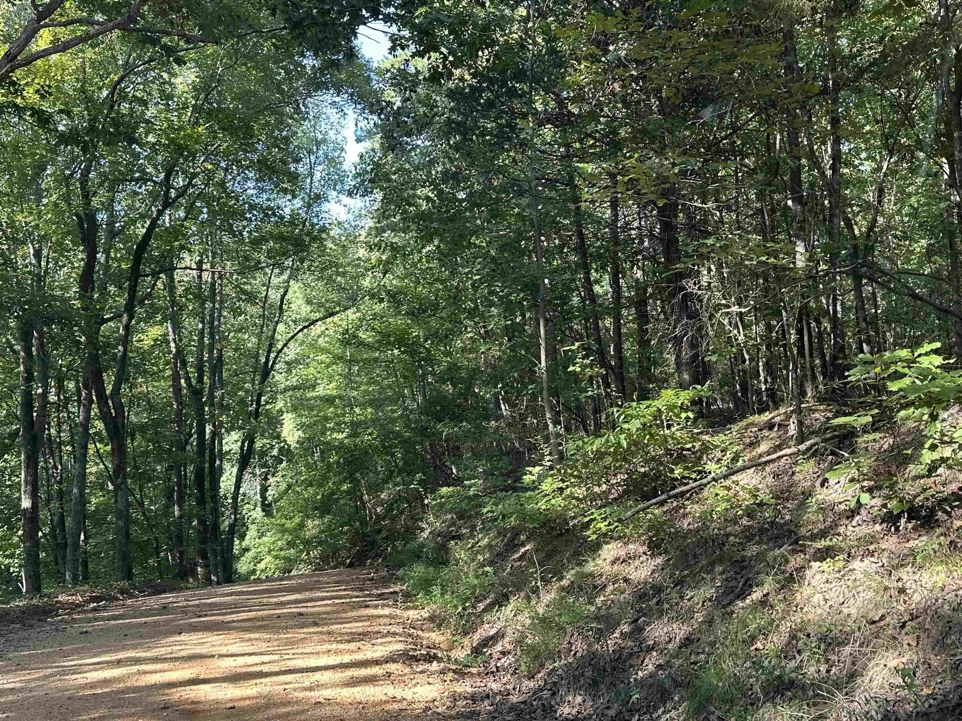 Photo 3 of Land for sale at 751 Paradise Dr, Waterloo, AL 35677 | MLS# 10230536 | Listing updated on 2026-09-16