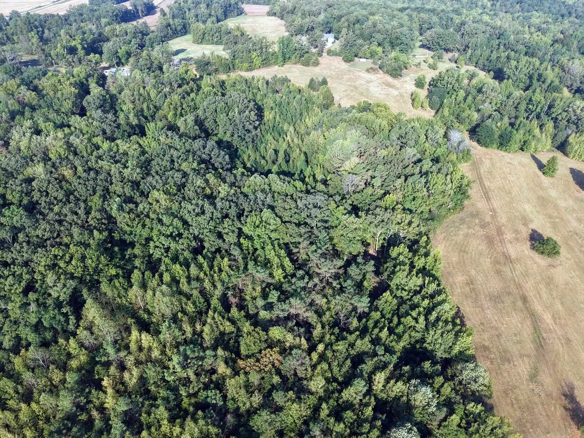 Photo 3 of Land for sale at 400 421 Highway, Sardis, TN 38371 | MLS# 10230545 | Listing updated on 2026-09-16