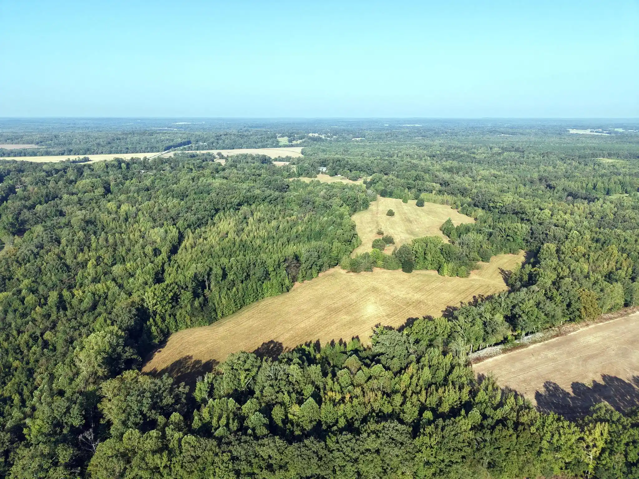 Photo 3 of Land for sale at 400 421 Highway, Sardis, TN 38371 | MLS# 10230545 | Listing updated on 2026-09-16