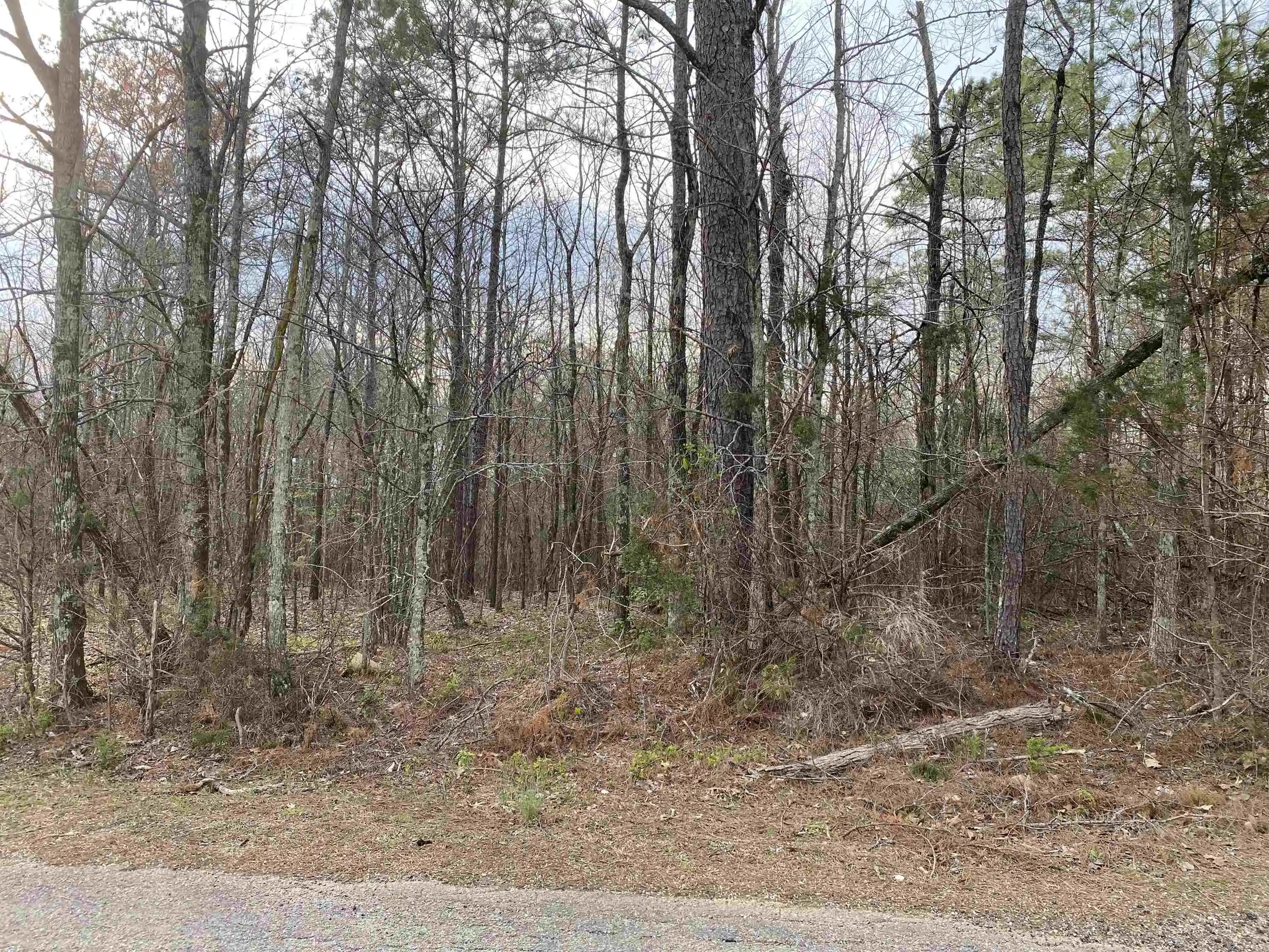 Photo 1 of Land for sale at Old Union Rd, Adamsville, TN 38310 | MLS# 10230552 | Listing updated on 2026-09-16