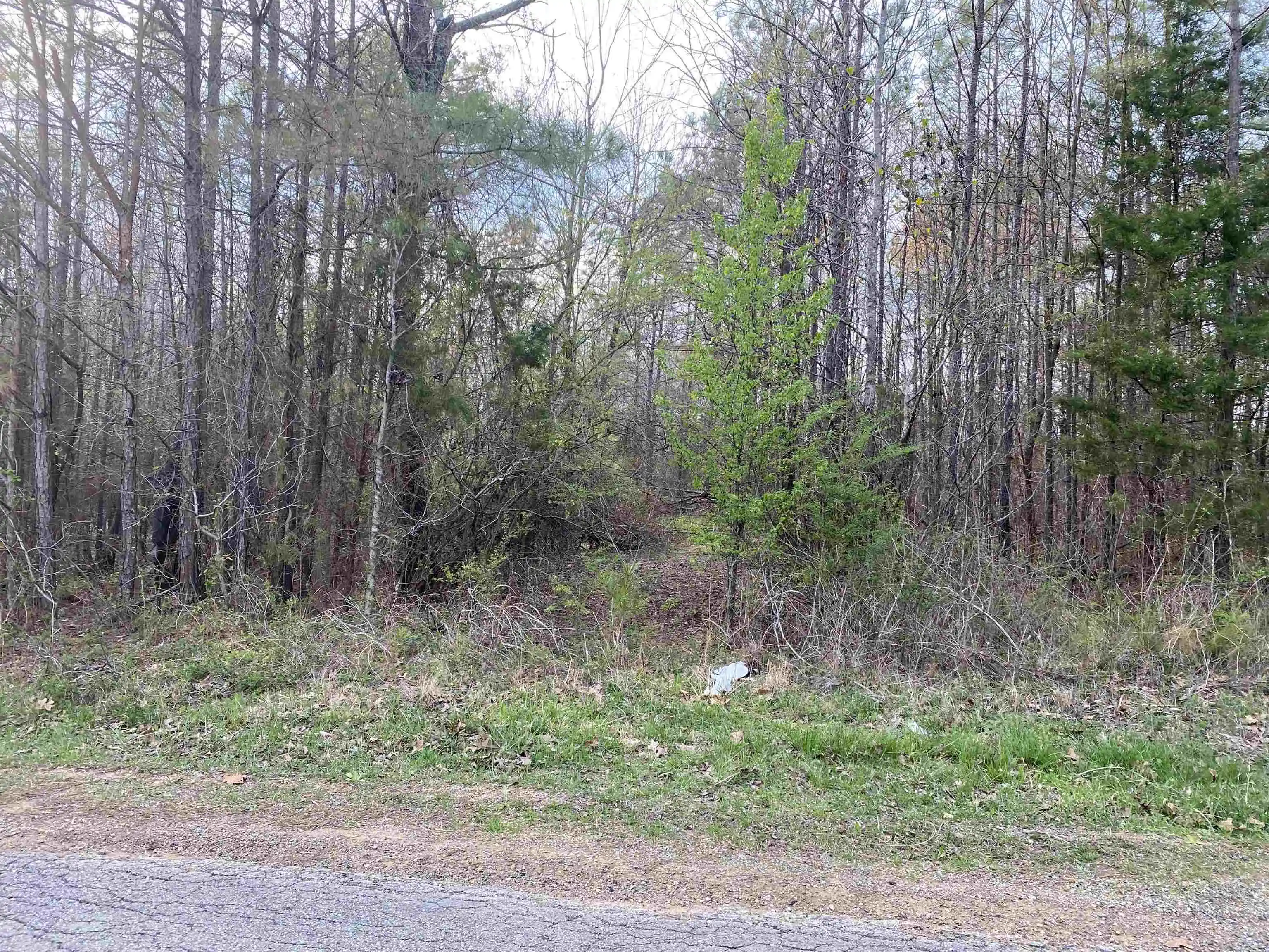Photo 2 of Land for sale at Old Union Rd, Adamsville, TN 38310 | MLS# 10230552 | Listing updated on 2026-09-16