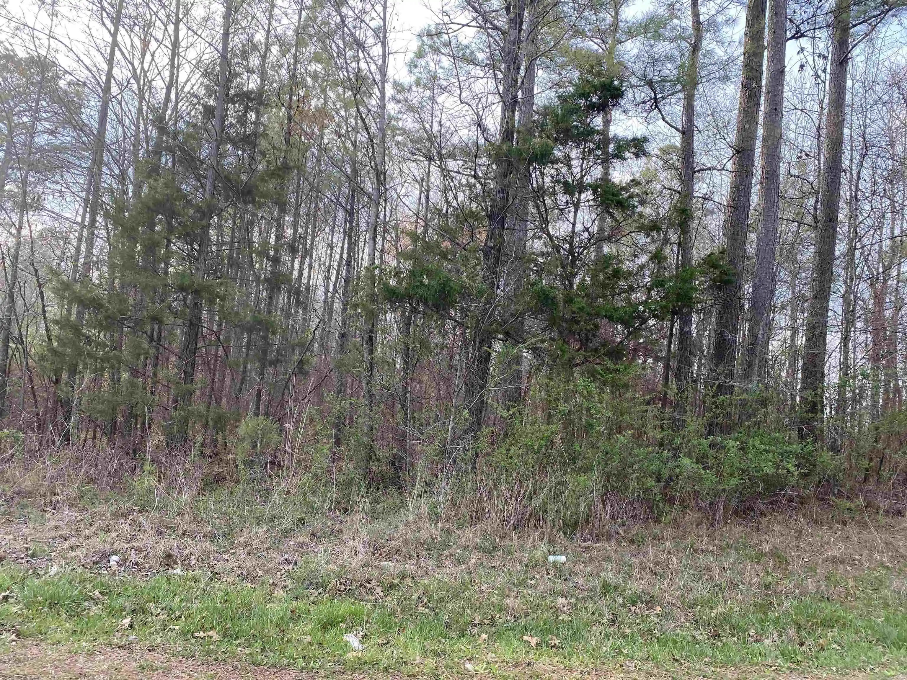 Photo 3 of Land for sale at Old Union Rd, Adamsville, TN 38310 | MLS# 10230552 | Listing updated on 2026-09-16
