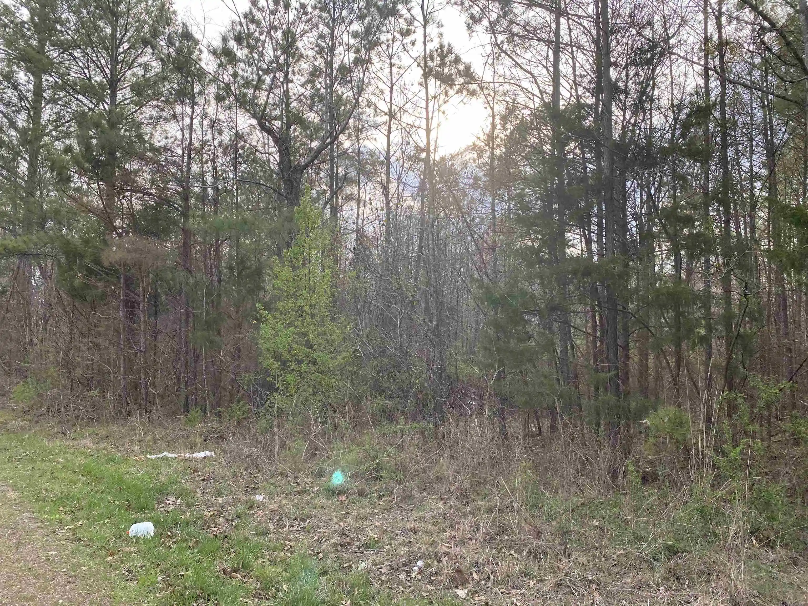 Photo 4 of Land for sale at Old Union Rd, Adamsville, TN 38310 | MLS# 10230552 | Listing updated on 2026-09-16