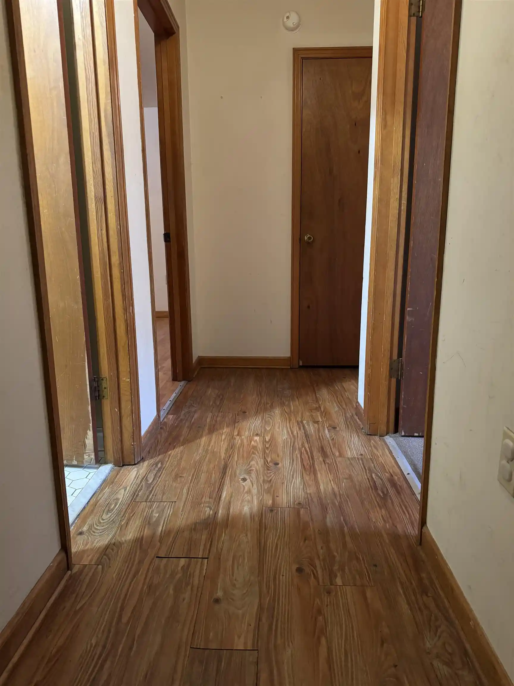 Photo 4 of Single family home for sale at 7221 N Juana Dr, Millington, TN 38053 | MLS# 10230554 | Listing updated on 2026-09-16