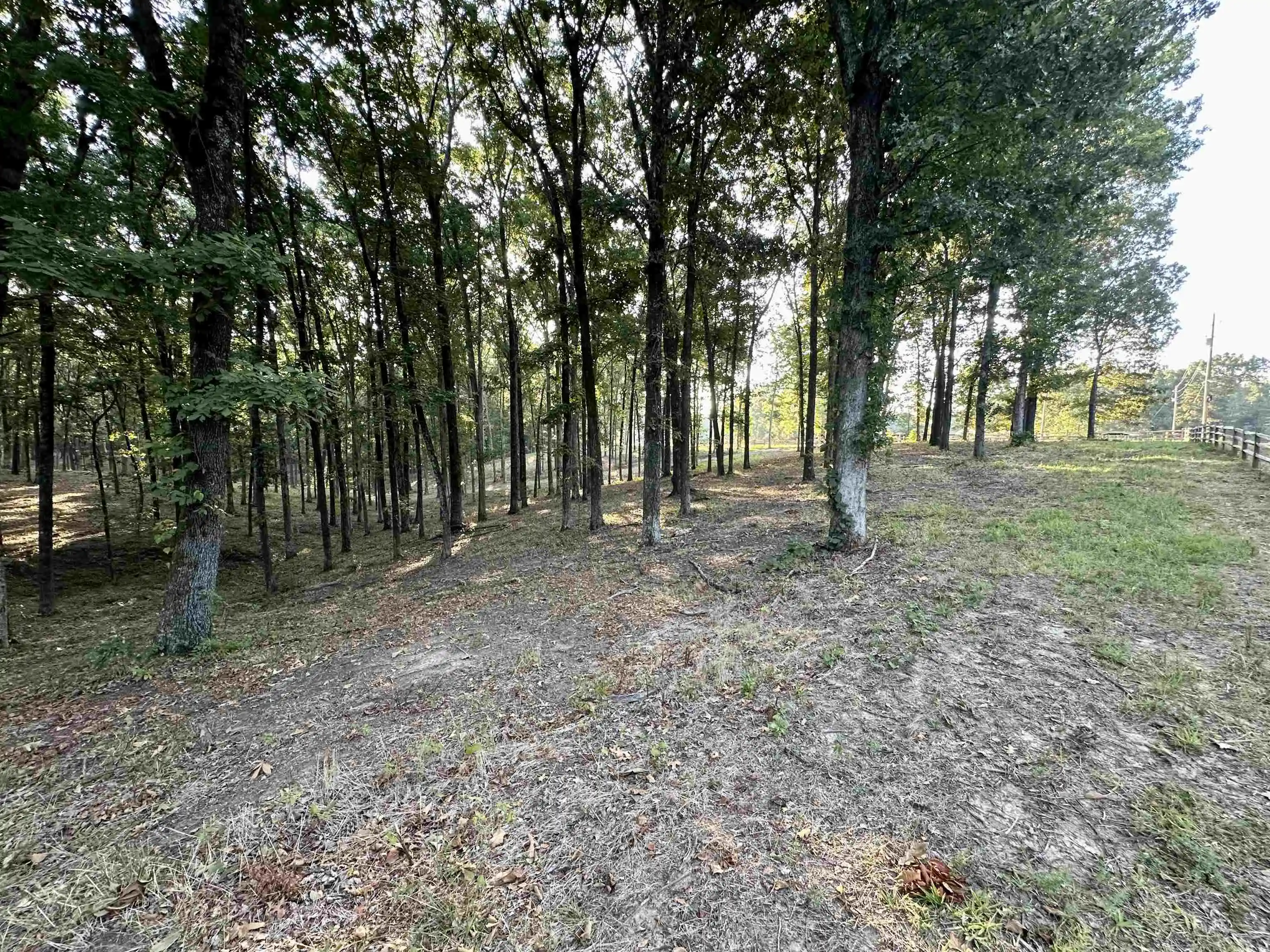 Photo 2 of Land for sale at 3 Dogwood Rd, Somerville, TN 38068 | MLS# 10230583 | Listing updated on 2026-09-17