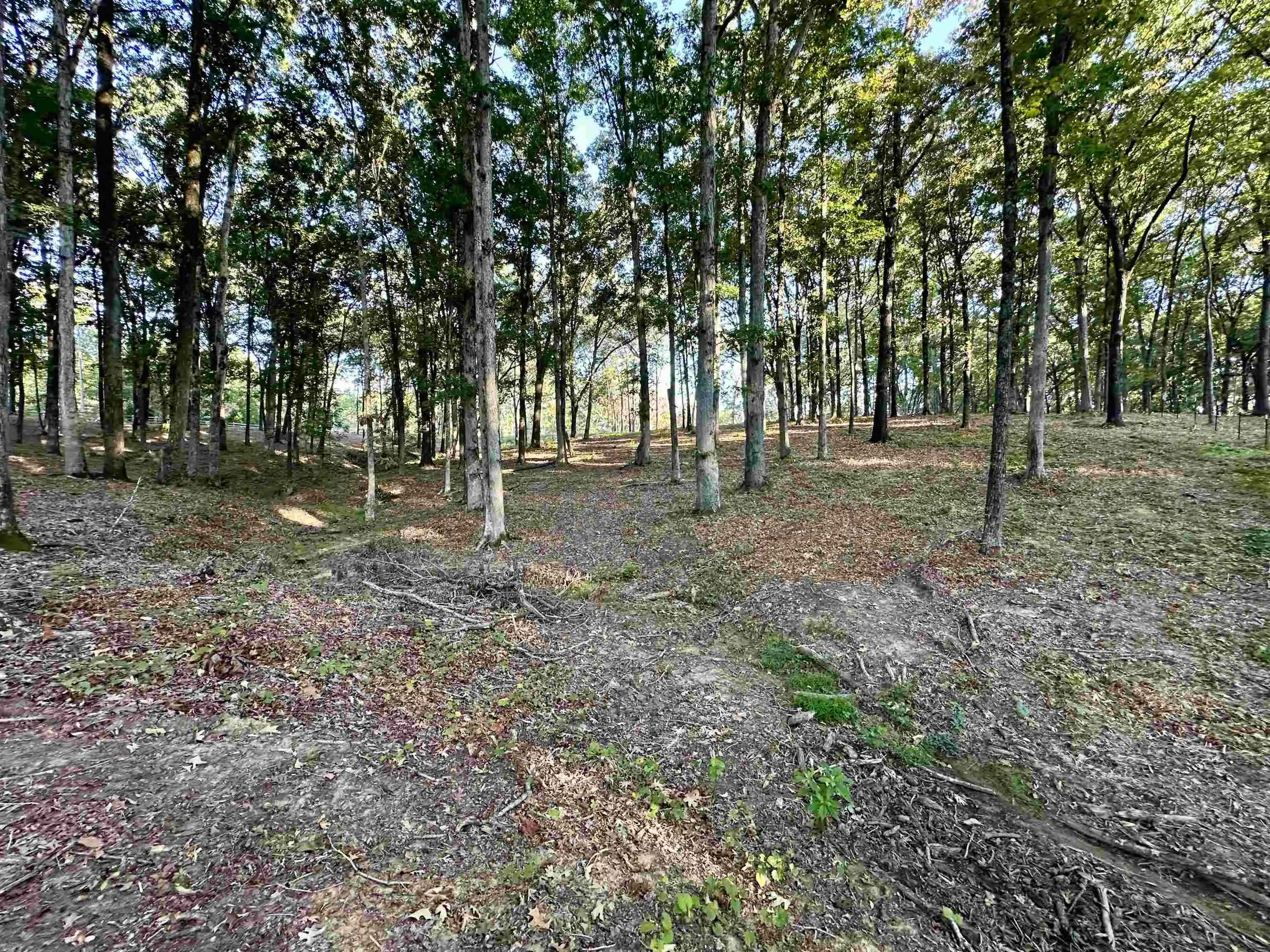Photo 3 of Land for sale at 3 Dogwood Rd, Somerville, TN 38068 | MLS# 10230583 | Listing updated on 2026-09-17