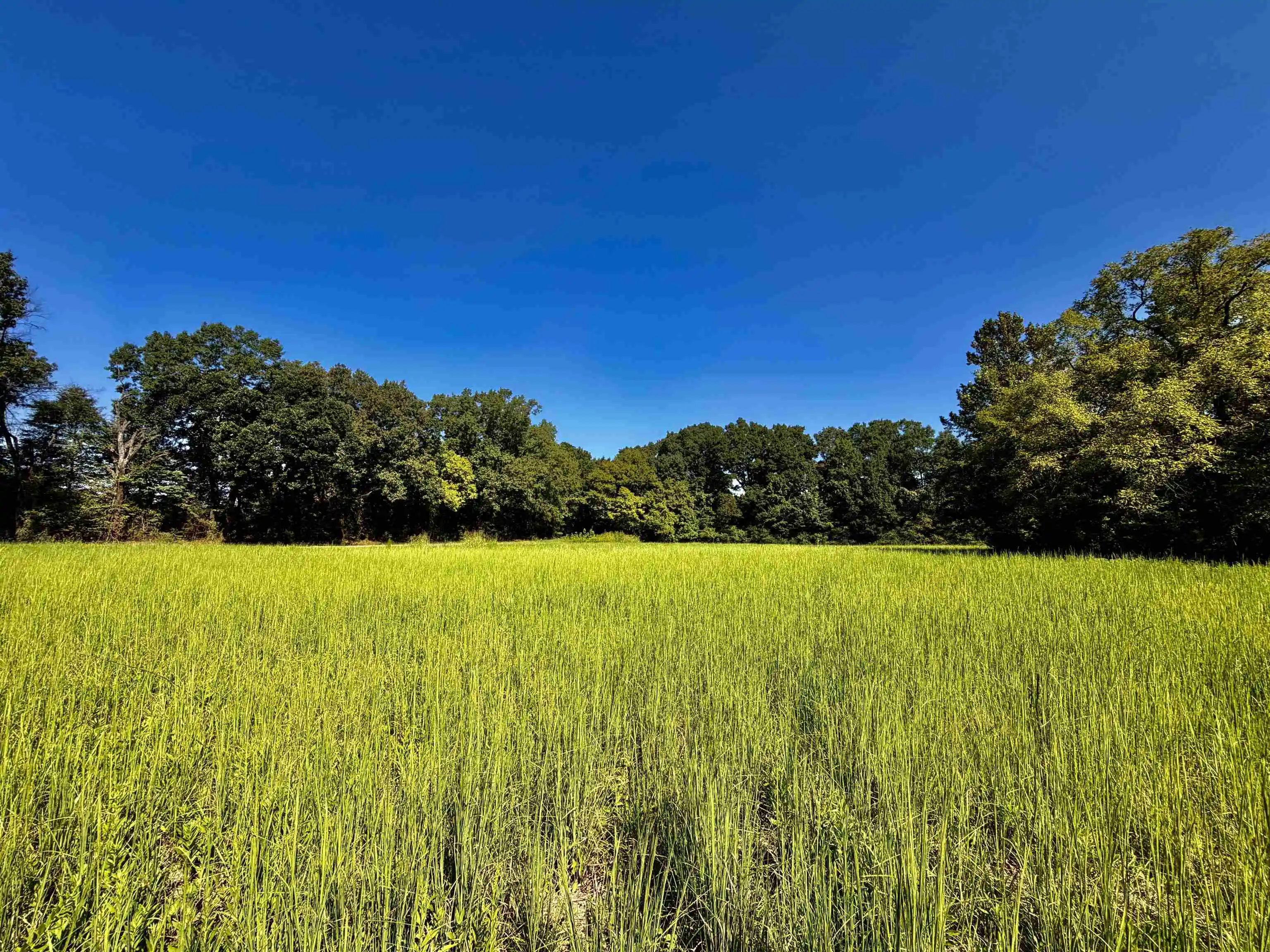 Photo 1 of Land for sale at 2110 Acres Terry Rd, Oakland, TN 38060 | MLS# 10230607 | Listing updated on 2026-09-17
