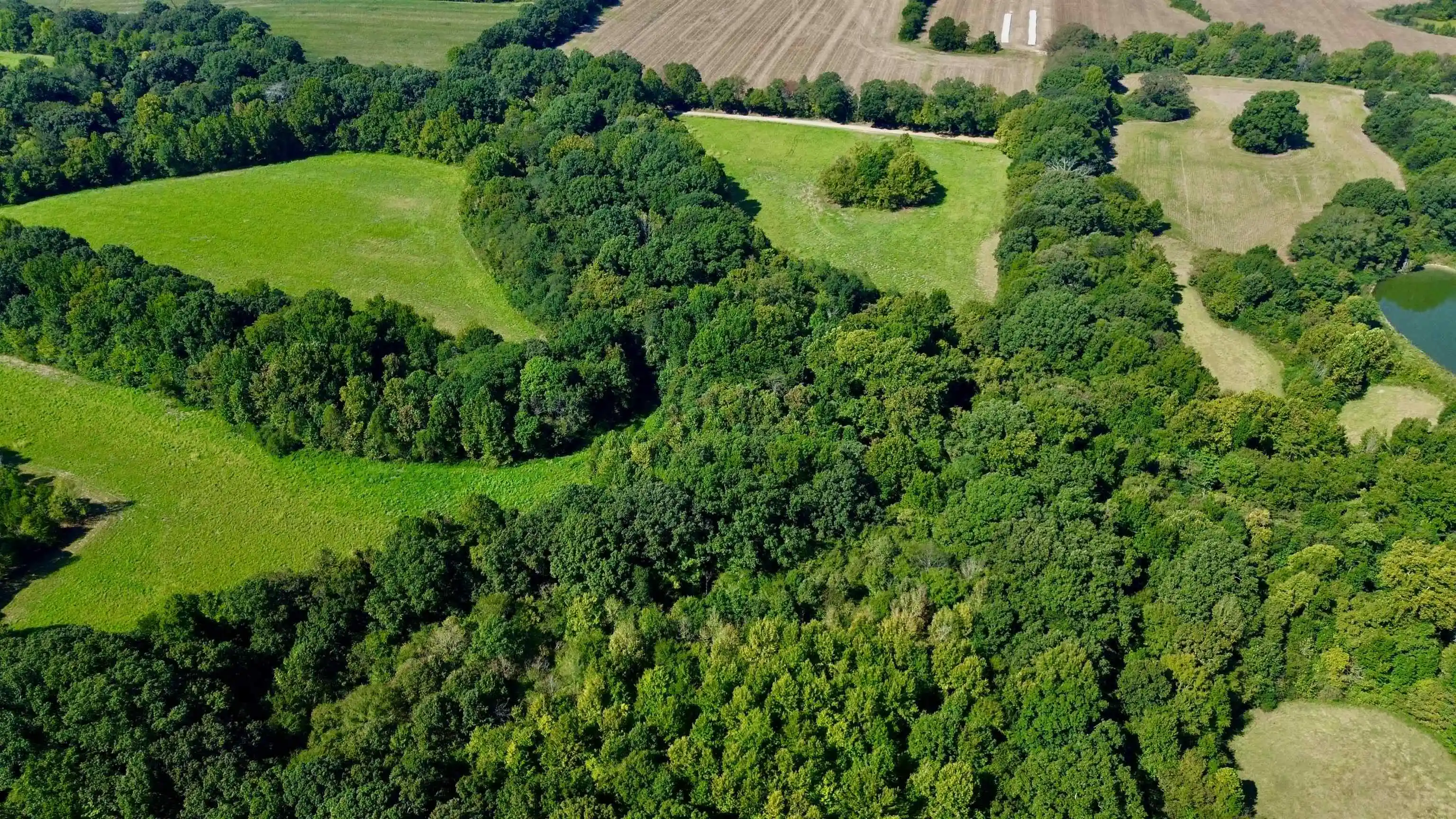 Photo 2 of Land for sale at 2110 Acres Terry Rd, Oakland, TN 38060 | MLS# 10230607 | Listing updated on 2026-09-17