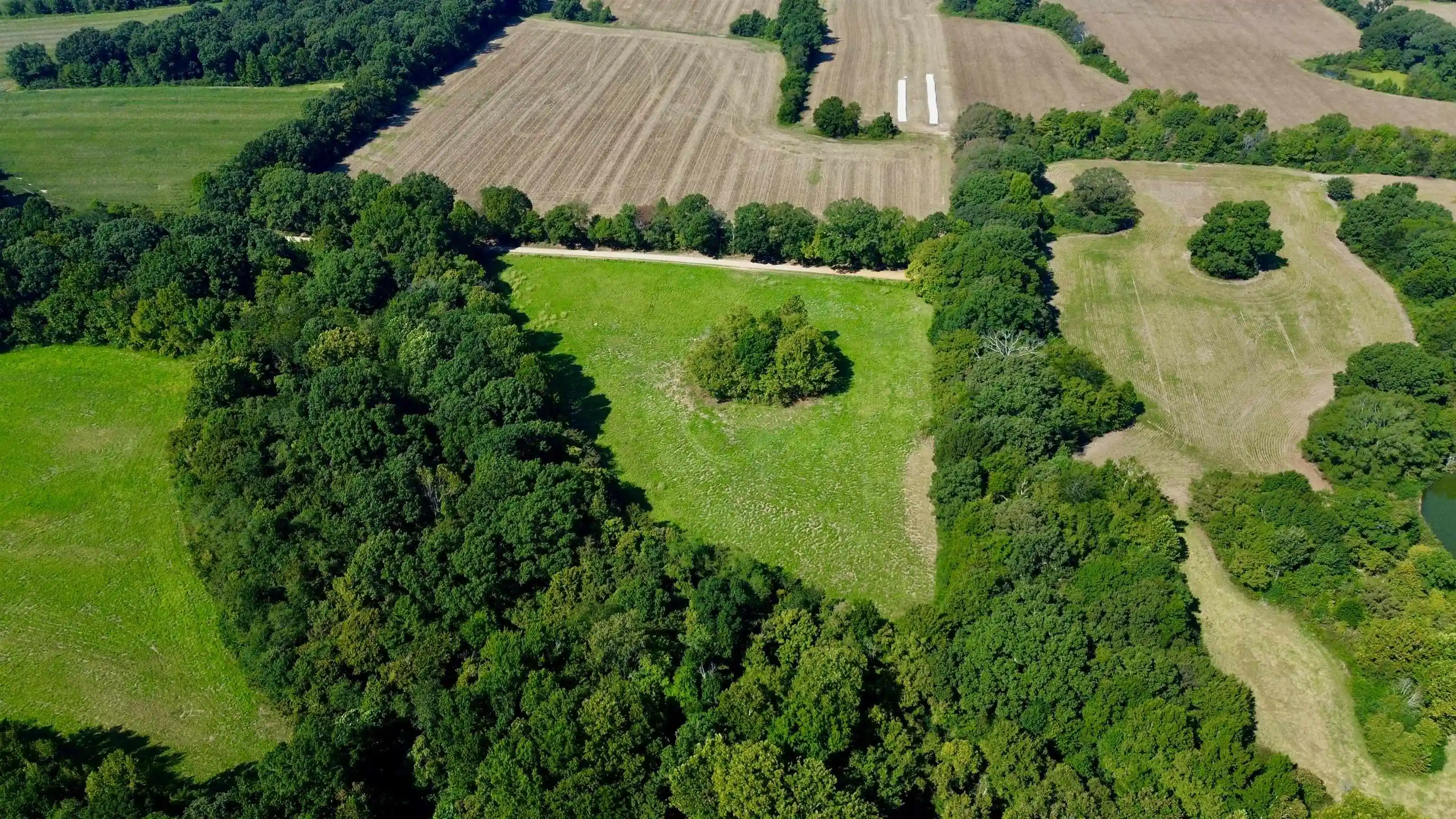 Photo 3 of Land for sale at 2110 Acres Terry Rd, Oakland, TN 38060 | MLS# 10230607 | Listing updated on 2026-09-17
