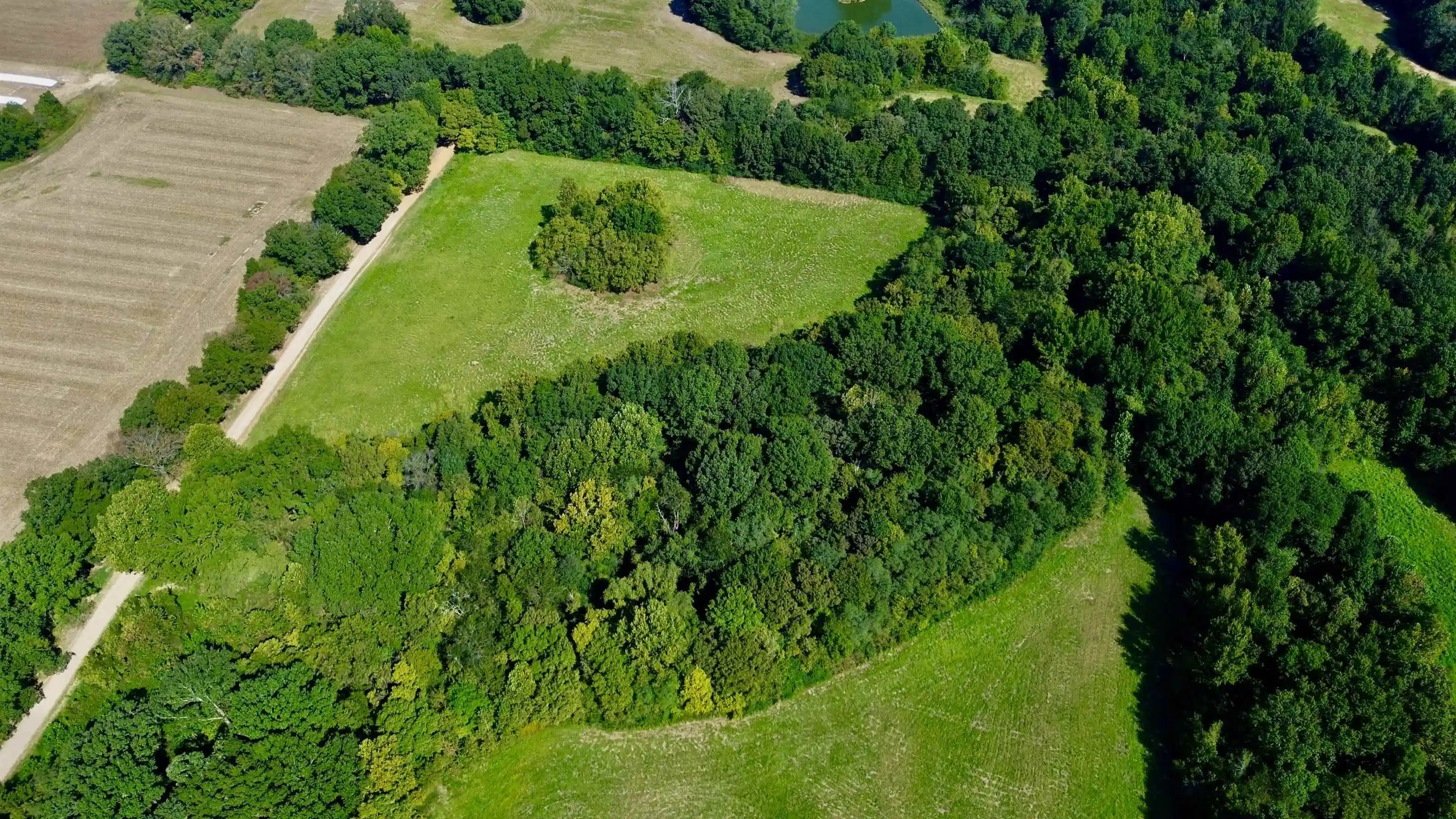 Photo 3 of Land for sale at 2110 Acres Terry Rd, Oakland, TN 38060 | MLS# 10230607 | Listing updated on 2026-09-17