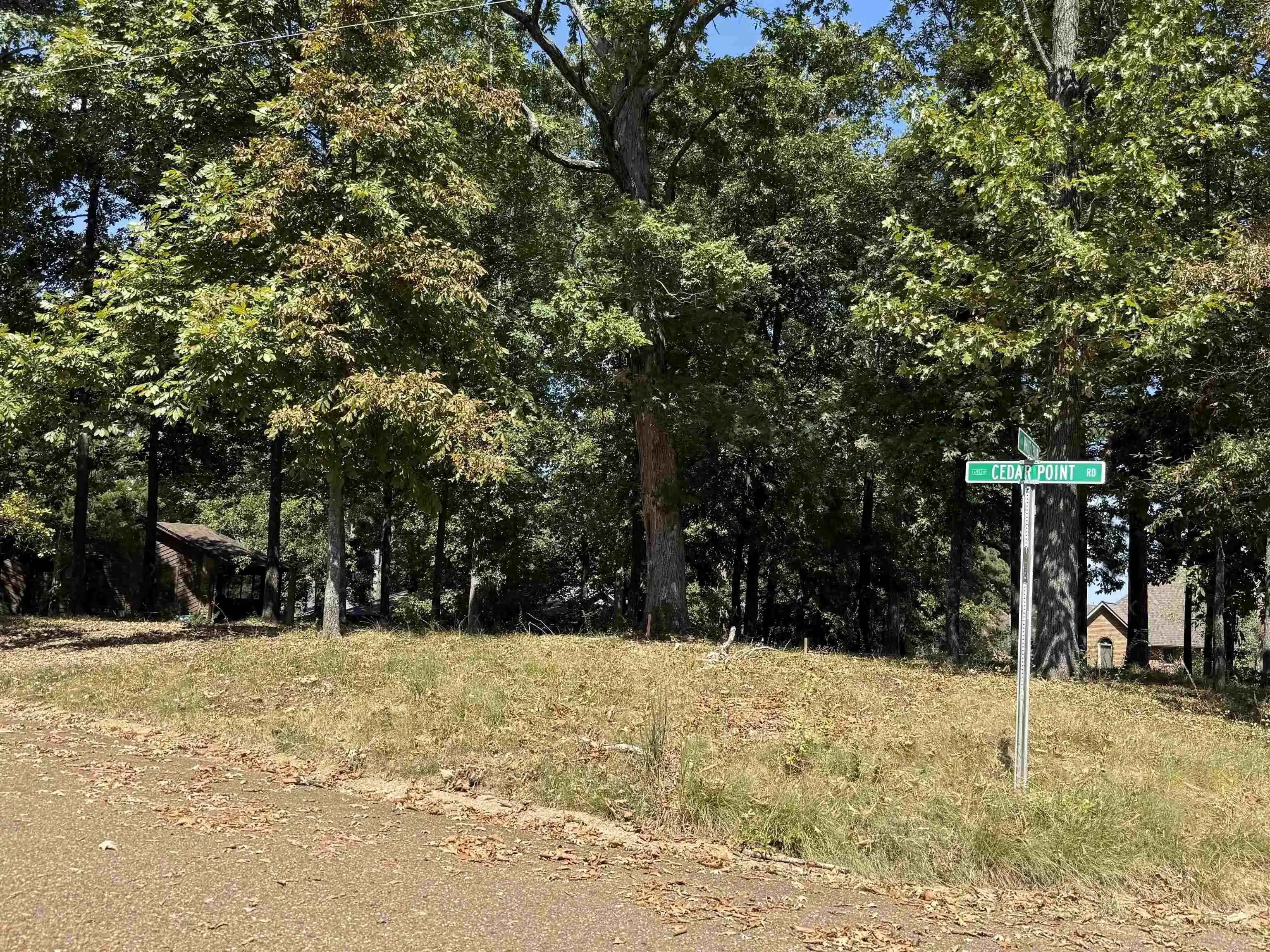 Photo 3 of Land for sale at 4160 White Cedar Cv, Lakeland, TN 38002 | MLS# 10230668 | Listing updated on 2026-09-18