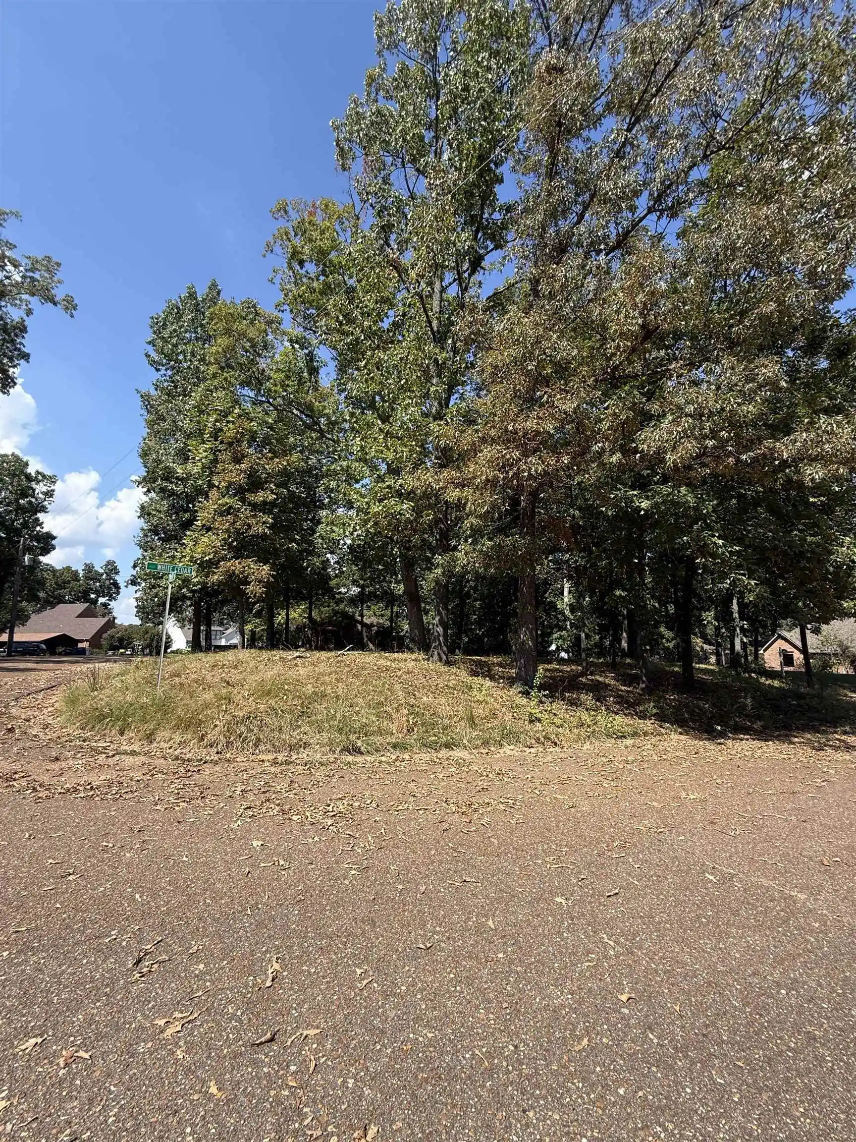 Photo 3 of Land for sale at 4160 White Cedar Cv, Lakeland, TN 38002 | MLS# 10230668 | Listing updated on 2026-09-18