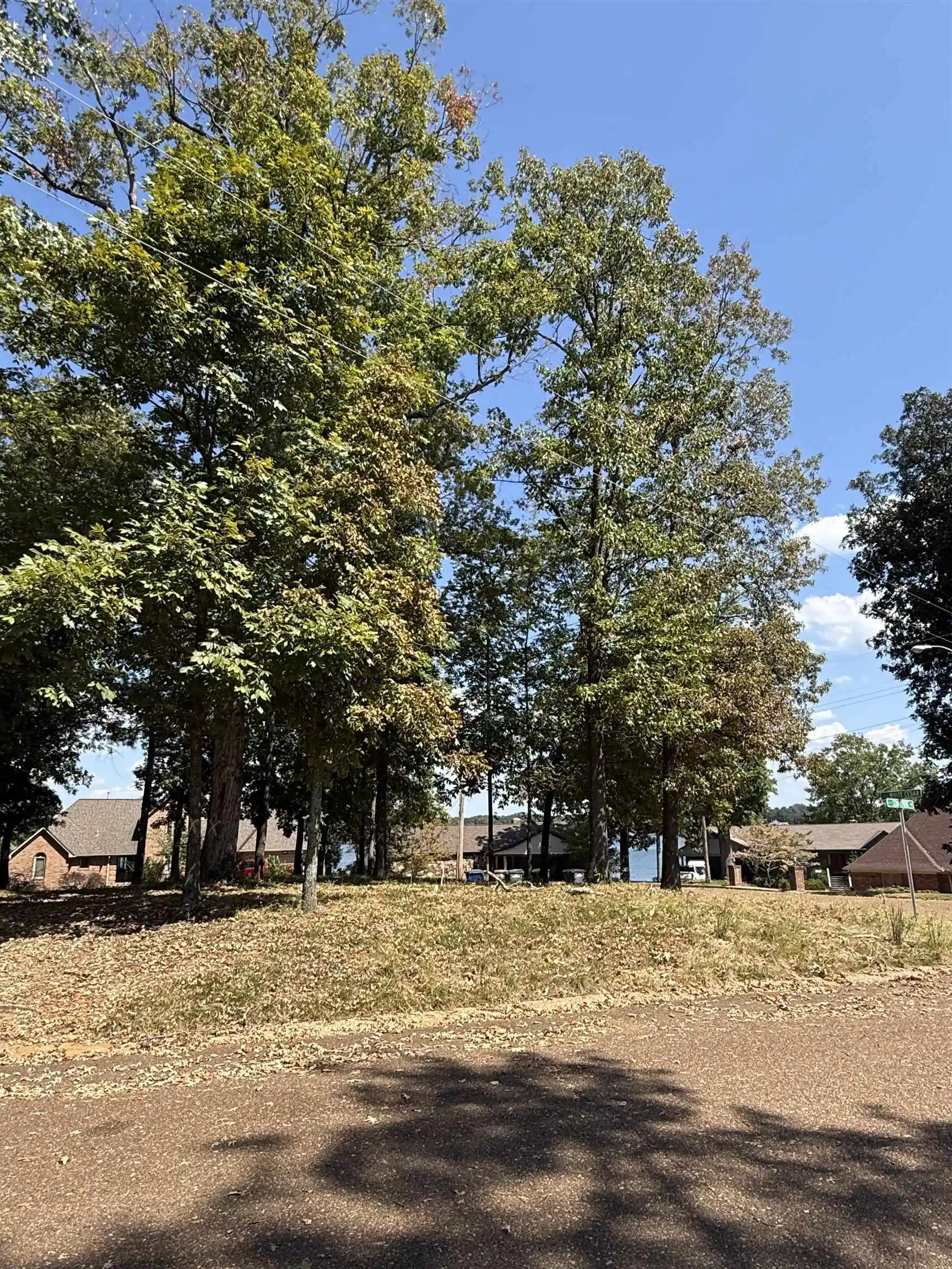 Photo 4 of Land for sale at 4160 White Cedar Cv, Lakeland, TN 38002 | MLS# 10230668 | Listing updated on 2026-09-18