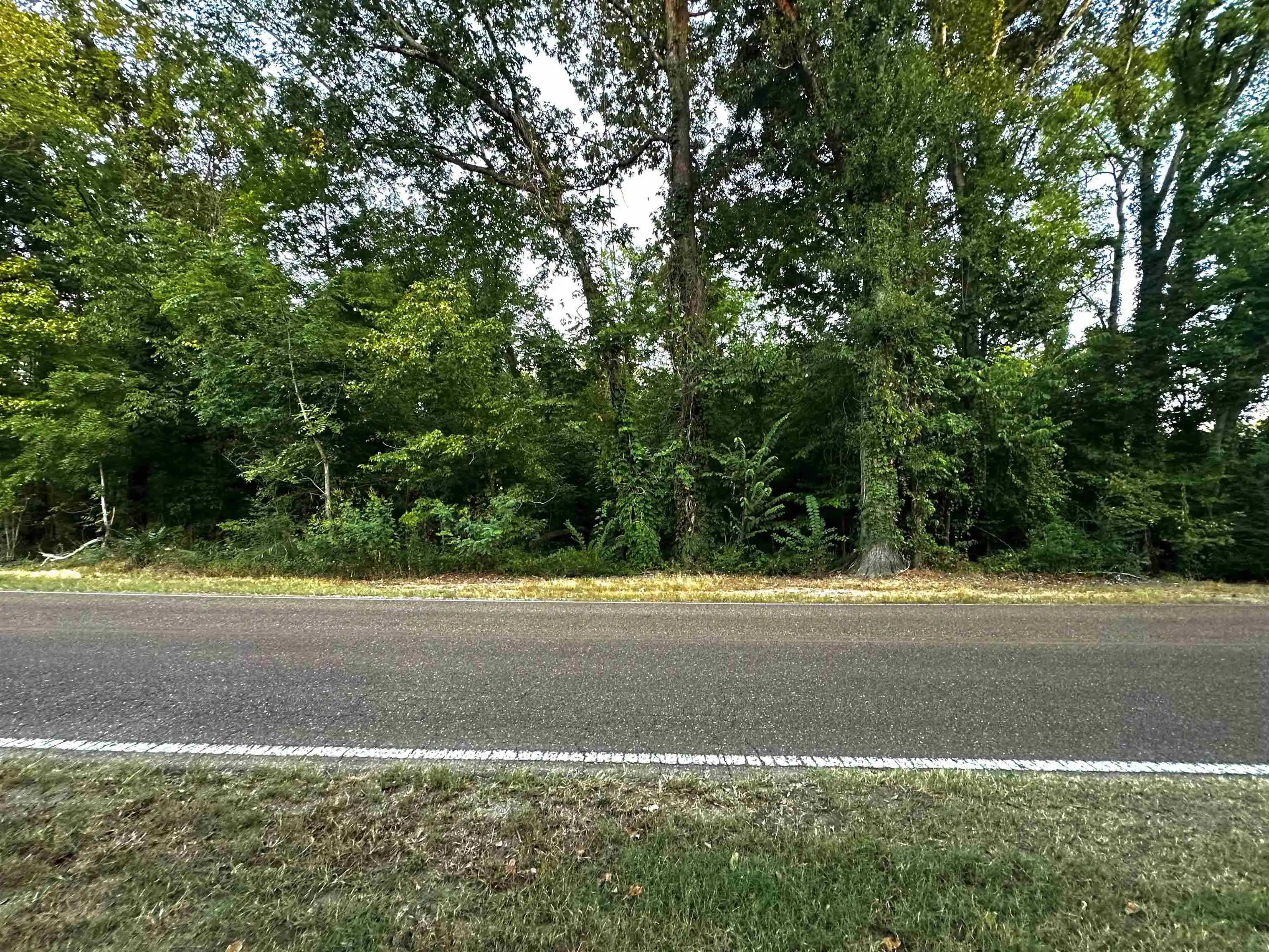Photo 3 of Land for sale at 0 Pryor Rd, Drummonds, TN 38023 | MLS# 10230705 | Listing updated on 2026-09-18