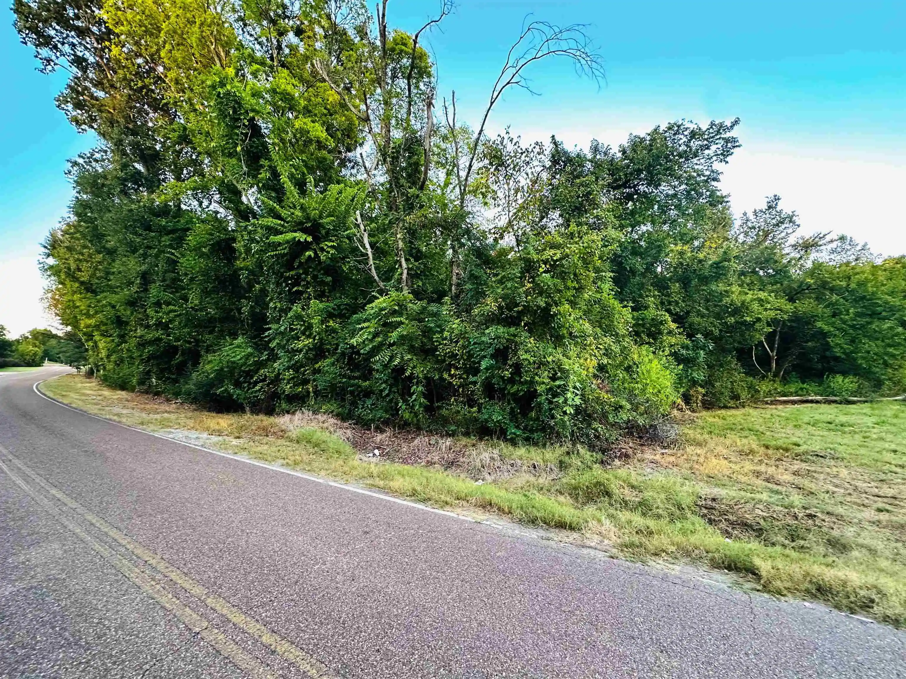 Photo 3 of Land for sale at 0 Pryor Rd, Drummonds, TN 38023 | MLS# 10230705 | Listing updated on 2026-09-18