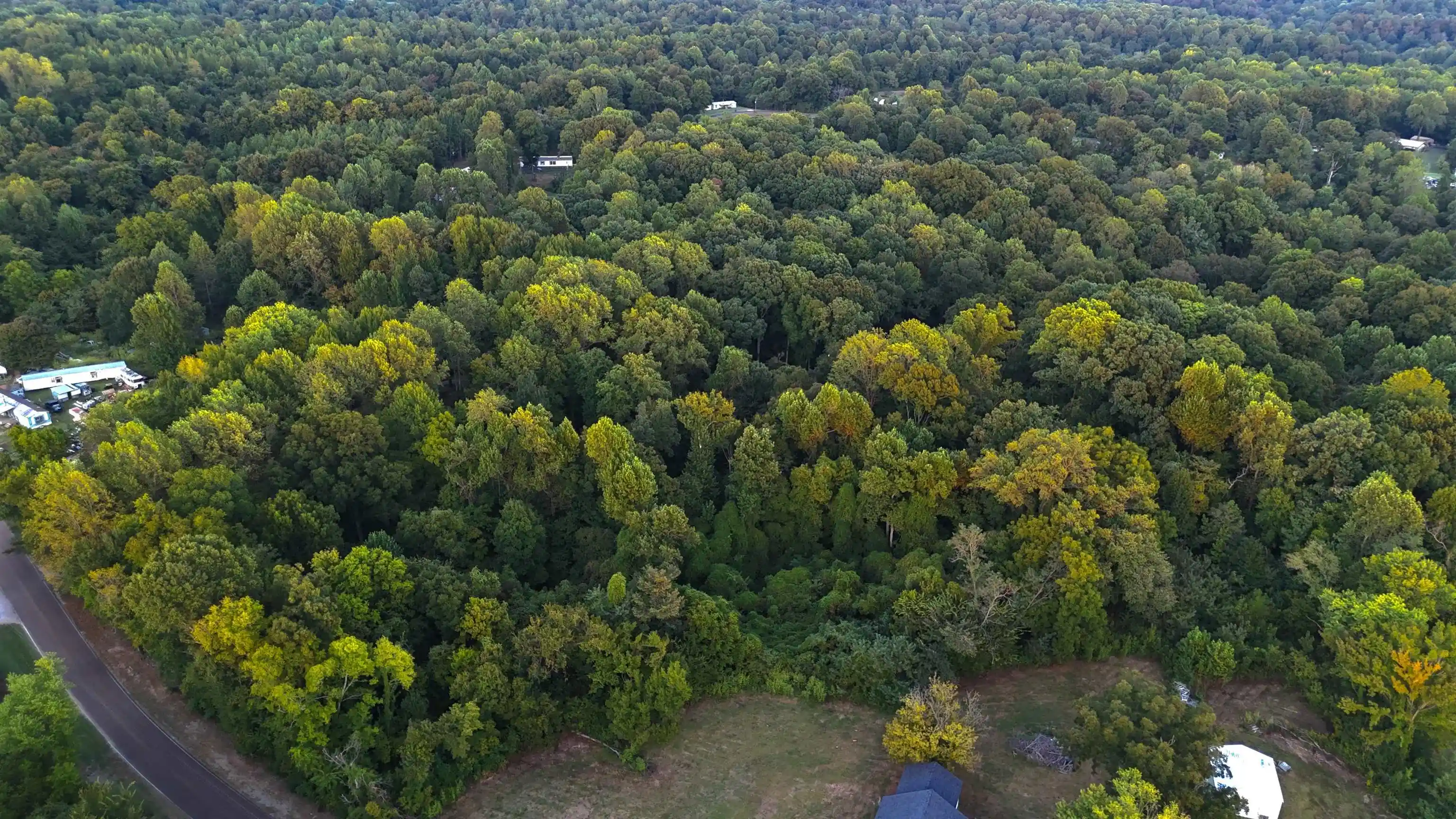 Photo 4 of Land for sale at 0 Pryor Rd, Drummonds, TN 38023 | MLS# 10230705 | Listing updated on 2026-09-18
