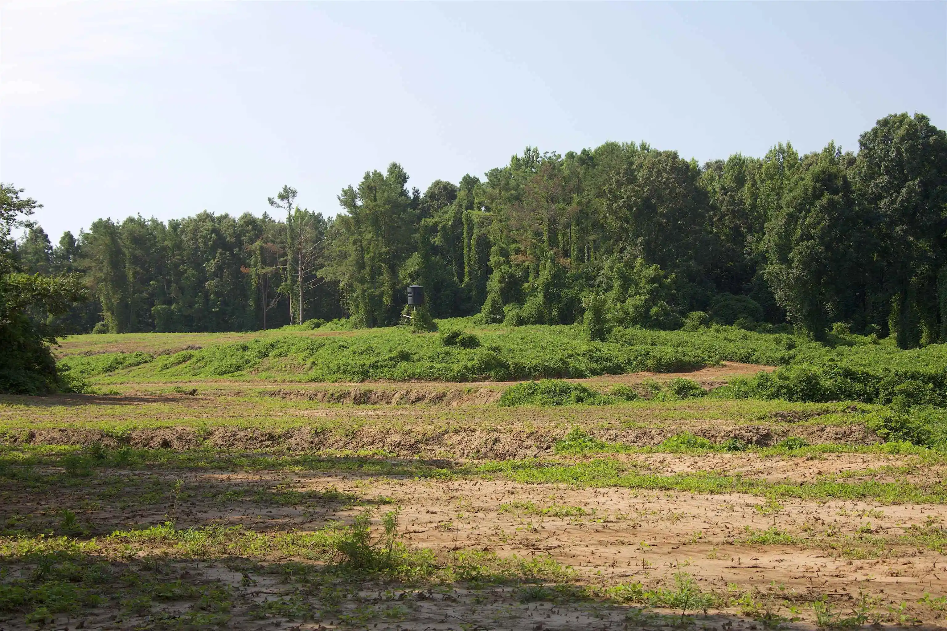 Photo 3 of Land for sale at 1026 Witherspoon Rd, Michigan City, MS 38647 | MLS# 10230762 | Listing updated on 2026-09-19