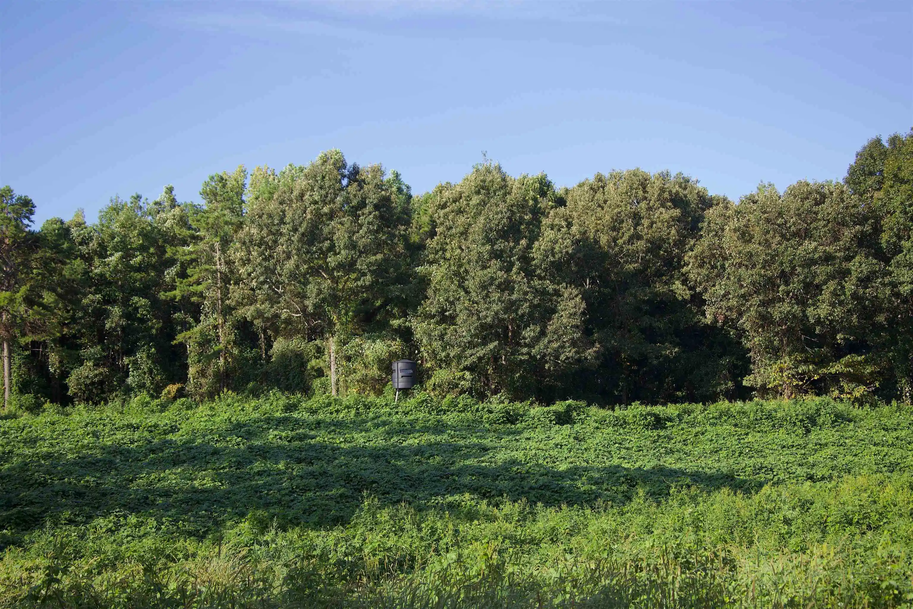 Photo 3 of Land for sale at 1026 Witherspoon Rd, Michigan City, MS 38647 | MLS# 10230762 | Listing updated on 2026-09-19
