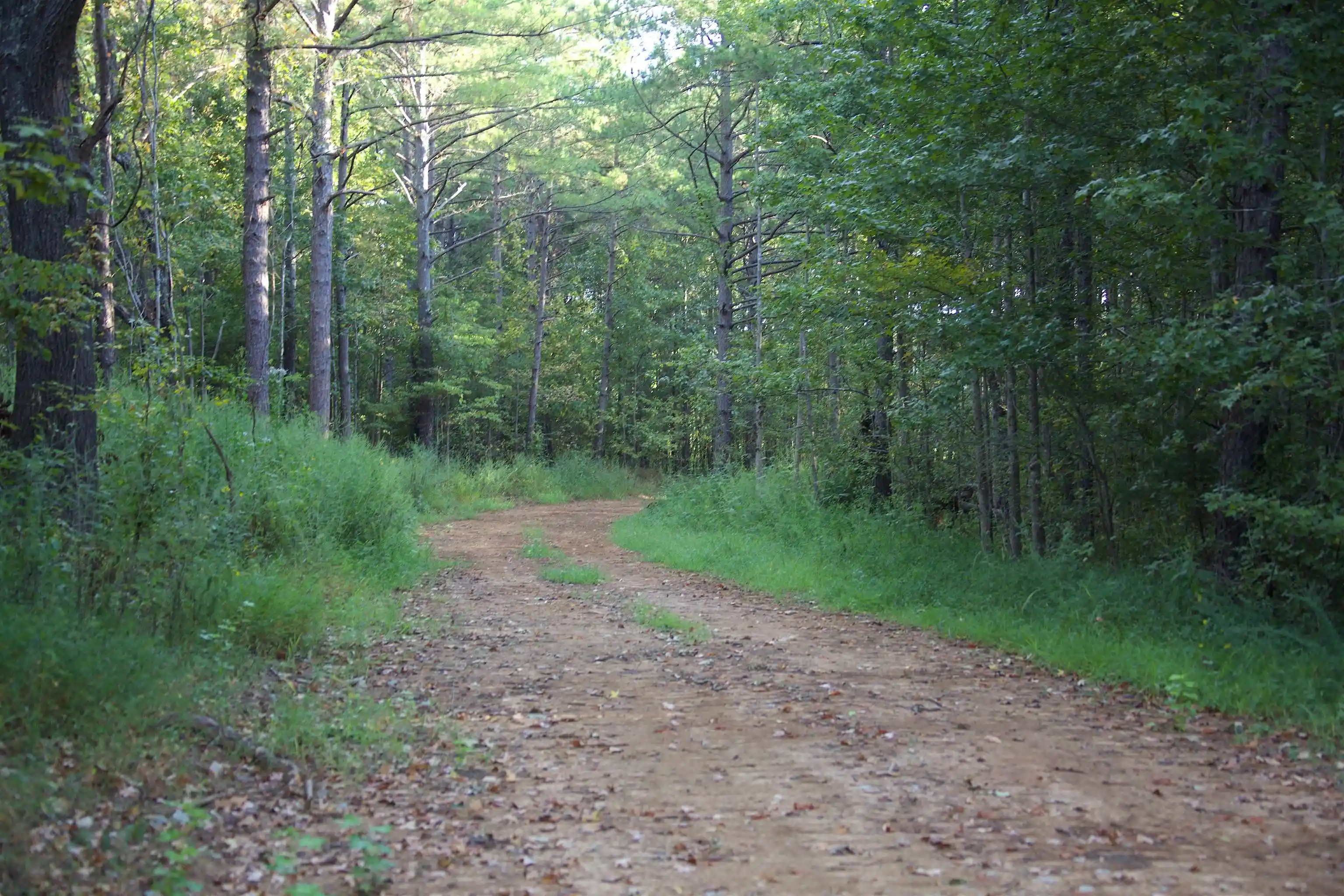 Photo 4 of Land for sale at 1026 Witherspoon Rd, Michigan City, MS 38647 | MLS# 10230762 | Listing updated on 2026-09-19