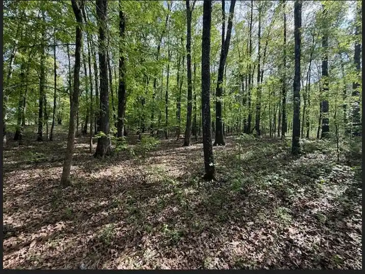 Photo 2 of Land for sale at 529 Ac Pleasant Grv Rd, Moscow, TN 38057 | MLS# 10230798 | Listing updated on 2026-09-21