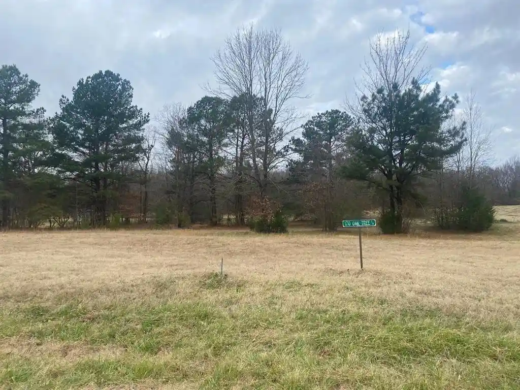 Photo 1 of Land for sale at 170 Oak Tree Dr, Piperton, TN 38017 | MLS# 10230805 | Listing updated on 2026-09-21
