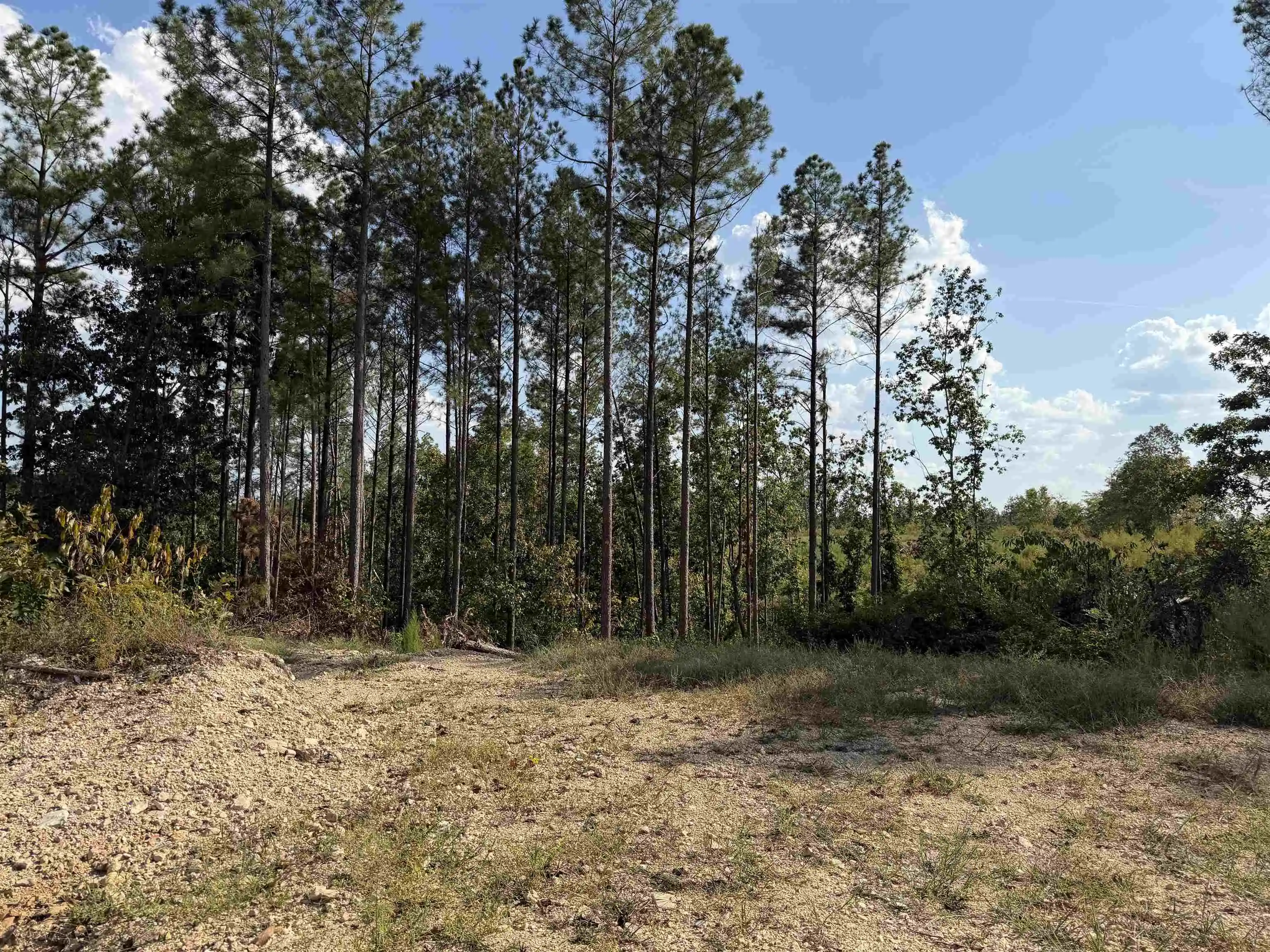 Photo 2 of Land for sale at 1526 Ray Miller Rd, Sugar Tree, TN 38380 | MLS# 10230812 | Listing updated on 2026-09-21