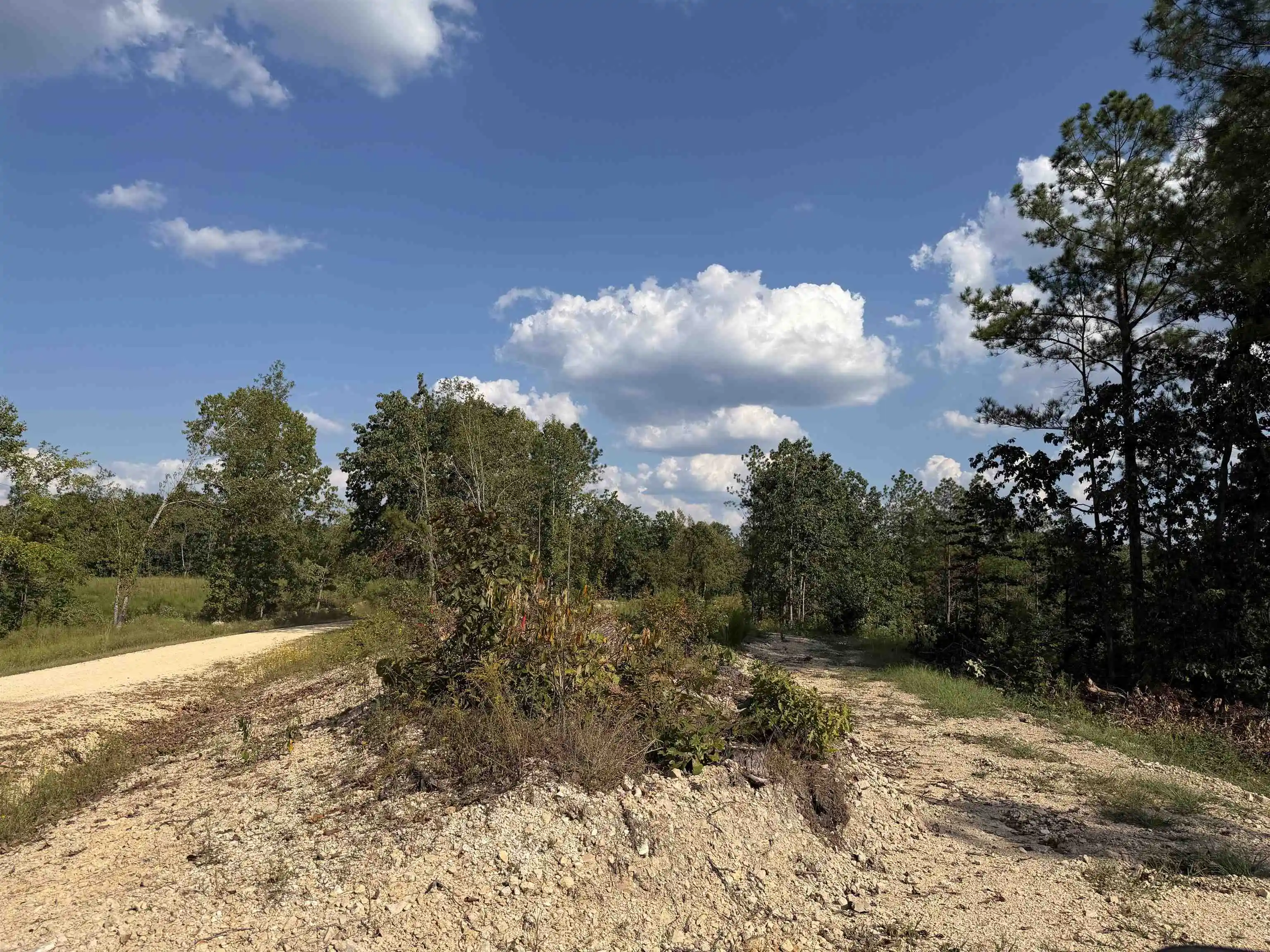 Photo 3 of Land for sale at 1526 Ray Miller Rd, Sugar Tree, TN 38380 | MLS# 10230812 | Listing updated on 2026-09-21