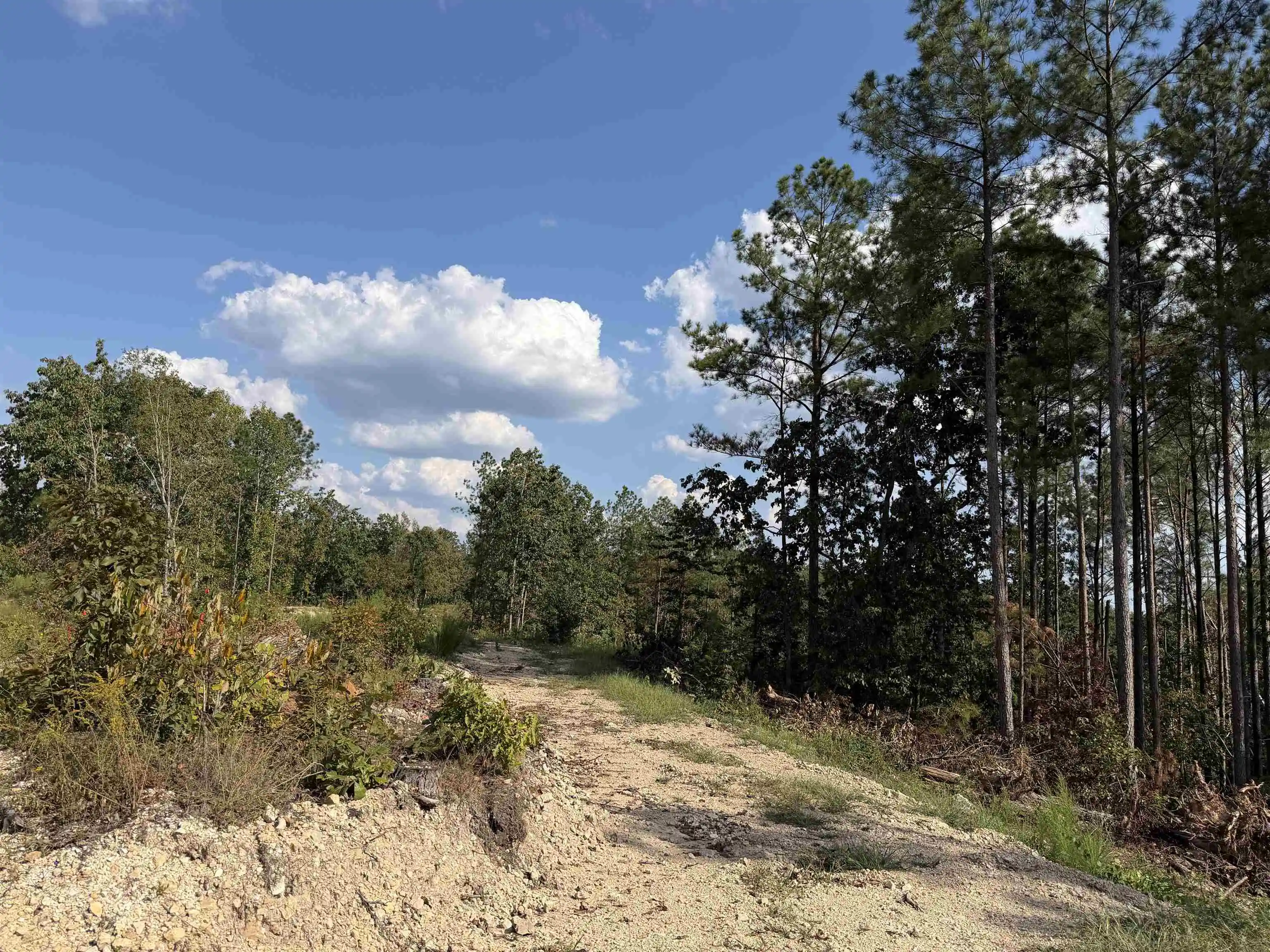 Photo 3 of Land for sale at 1526 Ray Miller Rd, Sugar Tree, TN 38380 | MLS# 10230812 | Listing updated on 2026-09-21