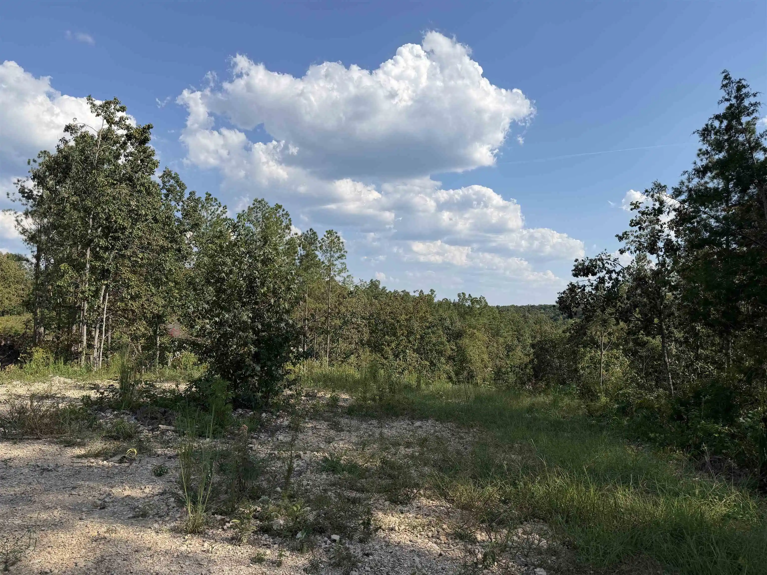 Photo 4 of Land for sale at 1526 Ray Miller Rd, Sugar Tree, TN 38380 | MLS# 10230812 | Listing updated on 2026-09-21