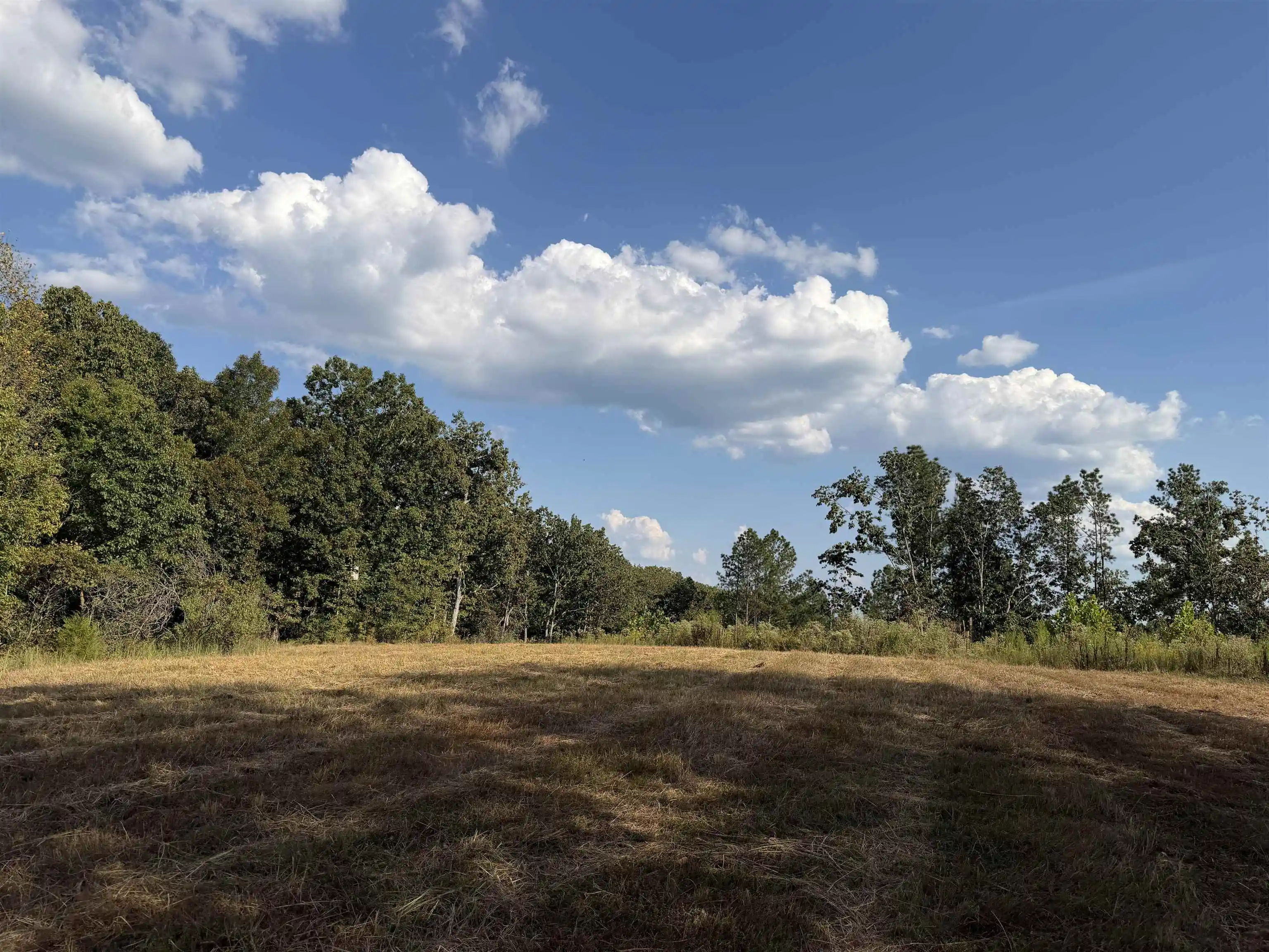 Photo 2 of Land for sale at 1960 Low Gap Rd, Sugar Tree, TN 38380 | MLS# 10230823 | Listing updated on 2026-09-21