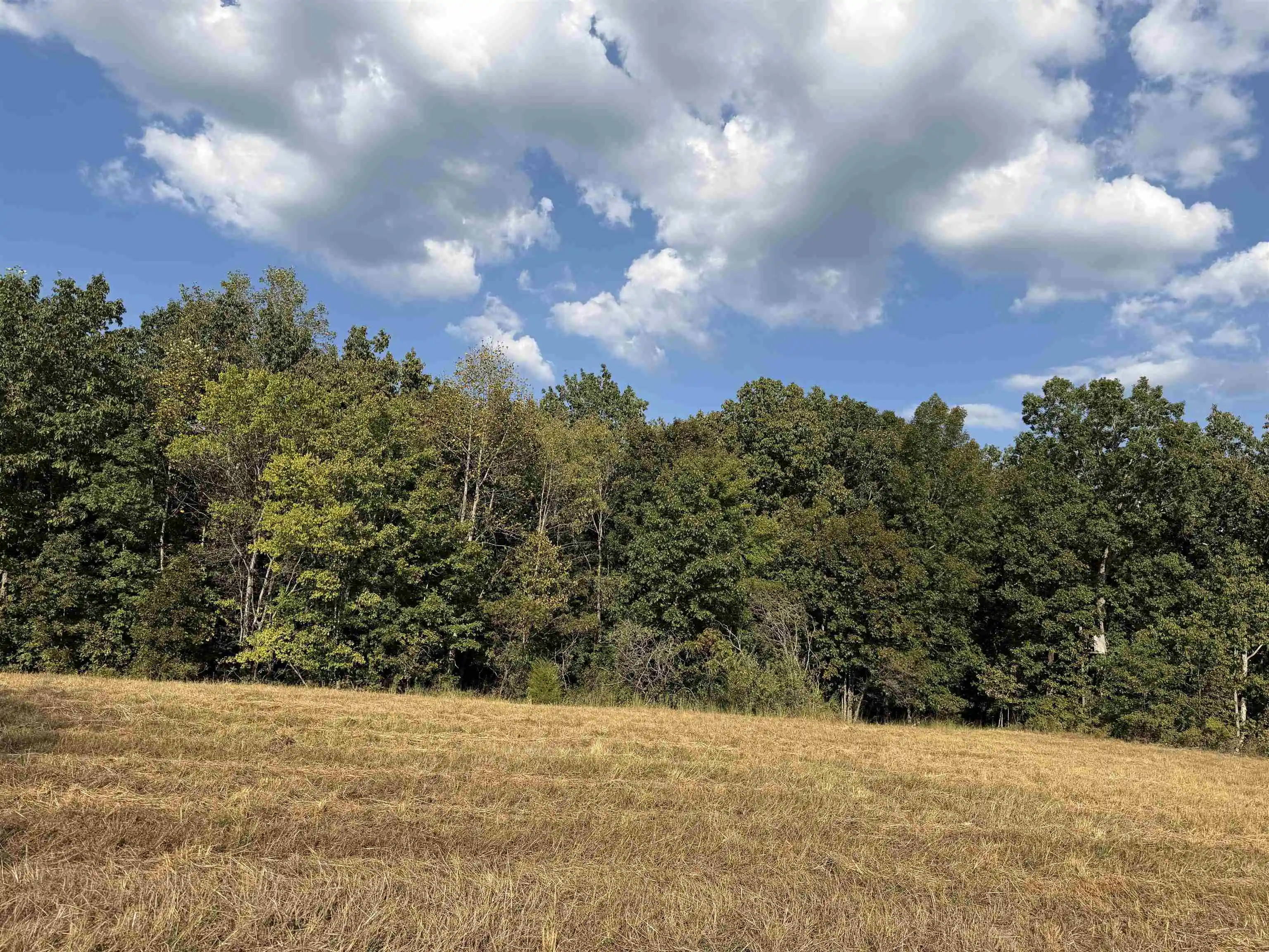 Photo 3 of Land for sale at 1960 Low Gap Rd, Sugar Tree, TN 38380 | MLS# 10230823 | Listing updated on 2026-09-21