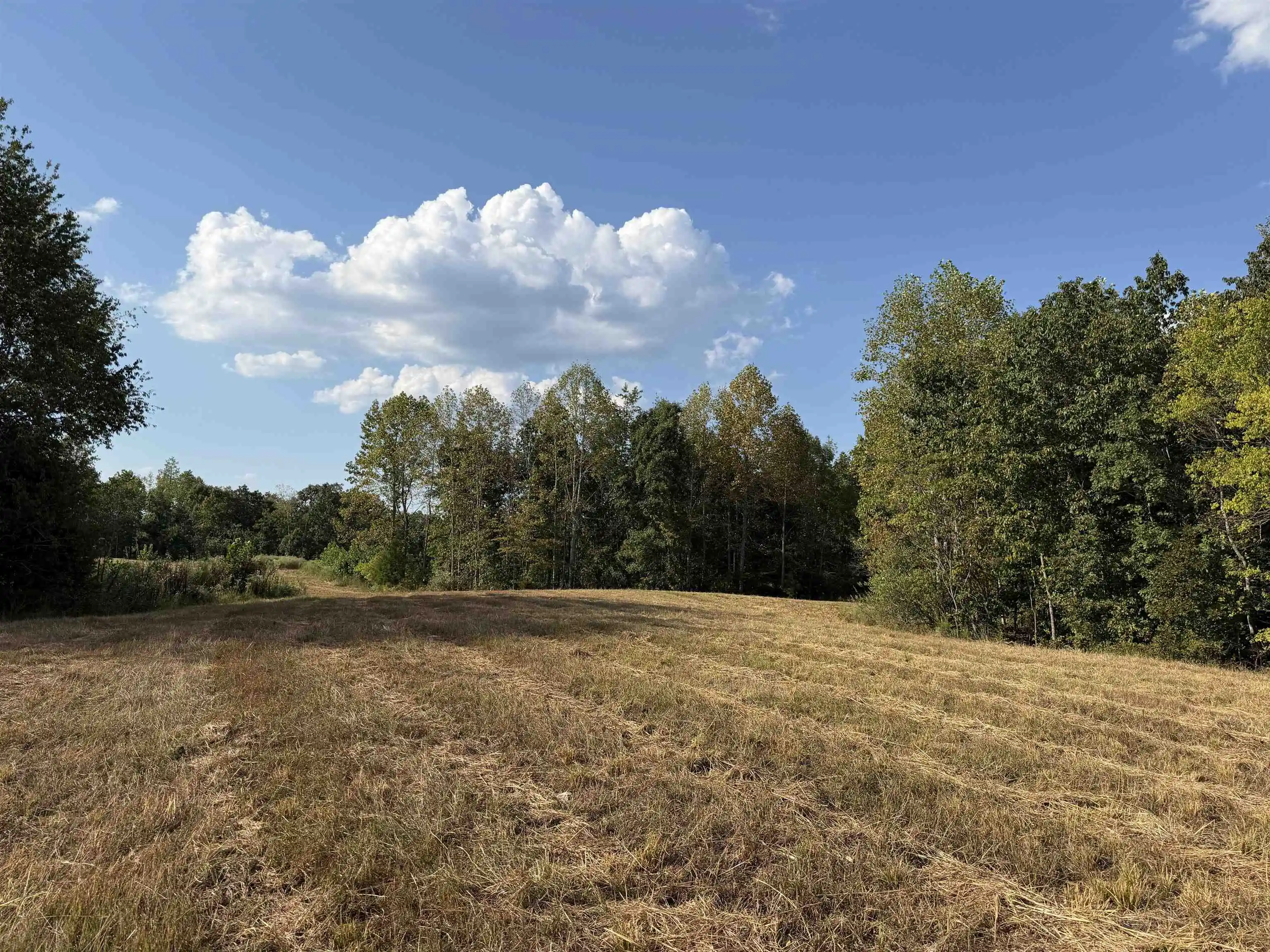 Photo 3 of Land for sale at 1960 Low Gap Rd, Sugar Tree, TN 38380 | MLS# 10230823 | Listing updated on 2026-09-21