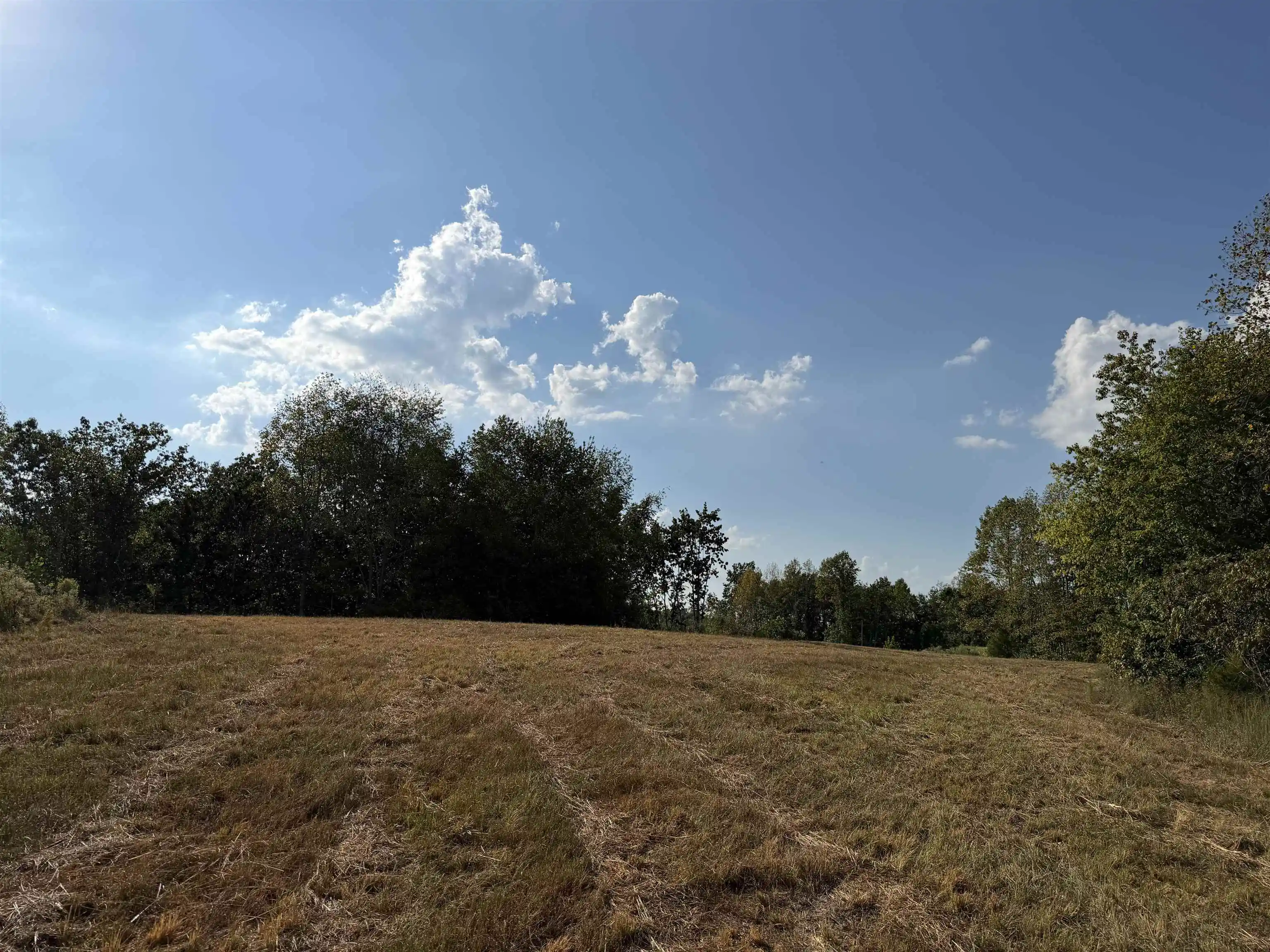Photo 4 of Land for sale at 1960 Low Gap Rd, Sugar Tree, TN 38380 | MLS# 10230823 | Listing updated on 2026-09-21