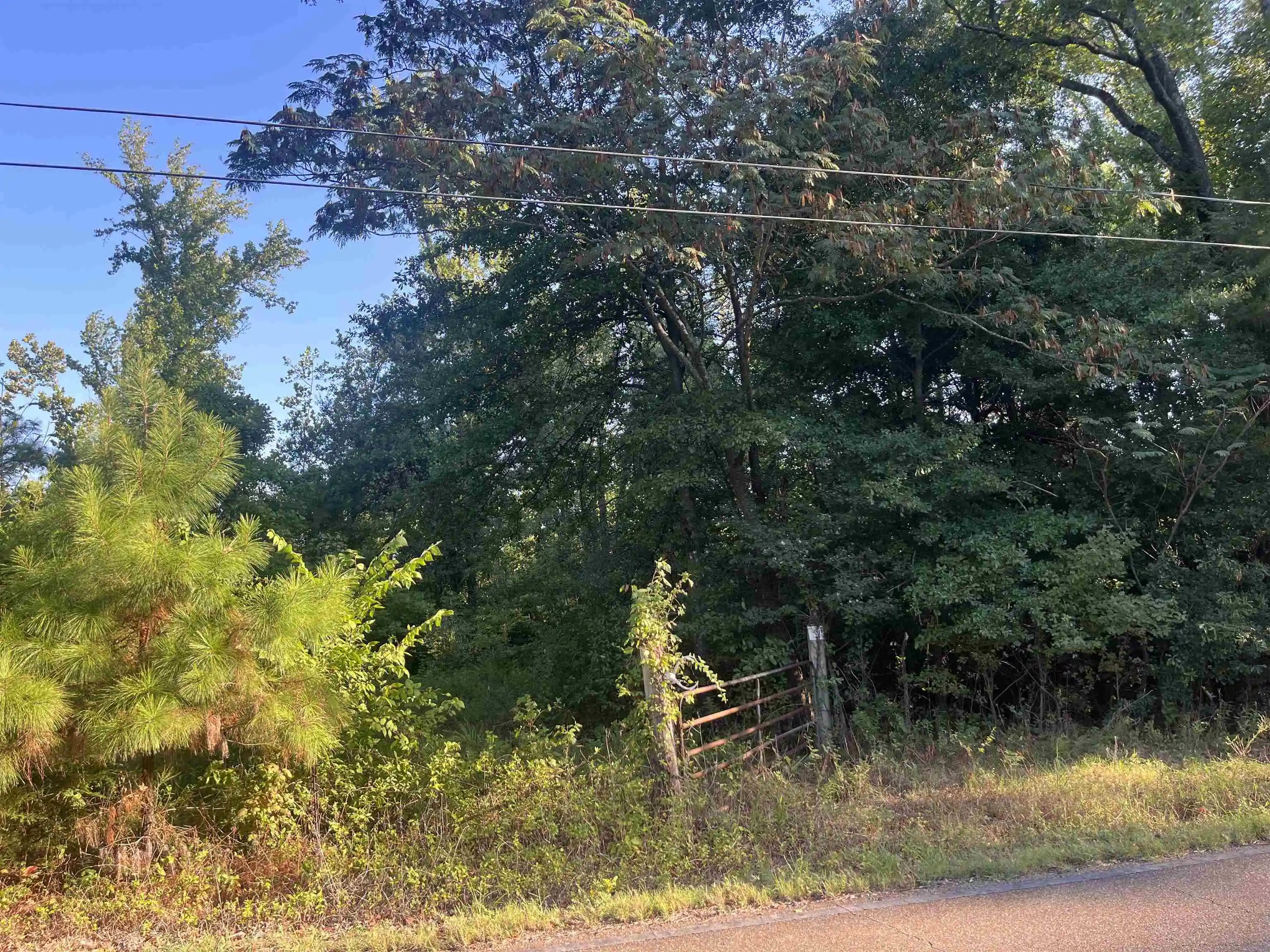 Photo 2 of Land for sale at 0 St Paul Rd, Millington, TN 38053 | MLS# 10230845 | Listing updated on 2026-09-21