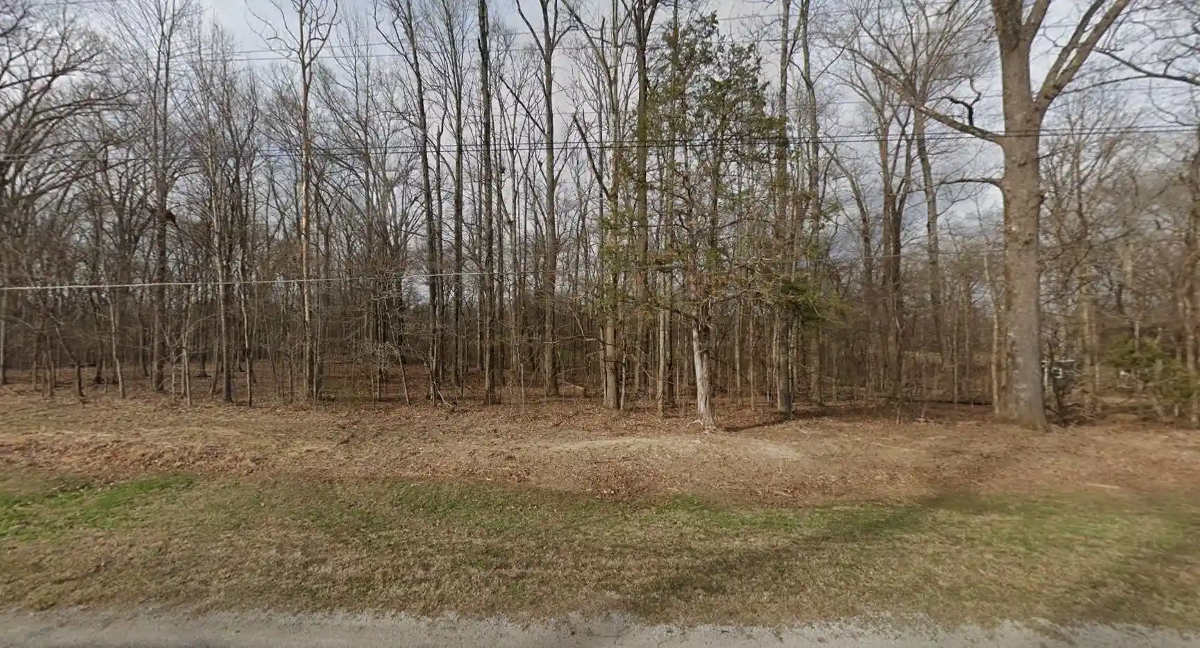 Photo 1 of Land for sale at 0 Willow Oak Dr, Arlington, TN 38002 | MLS# 10230906 | Listing updated on 2026-09-22