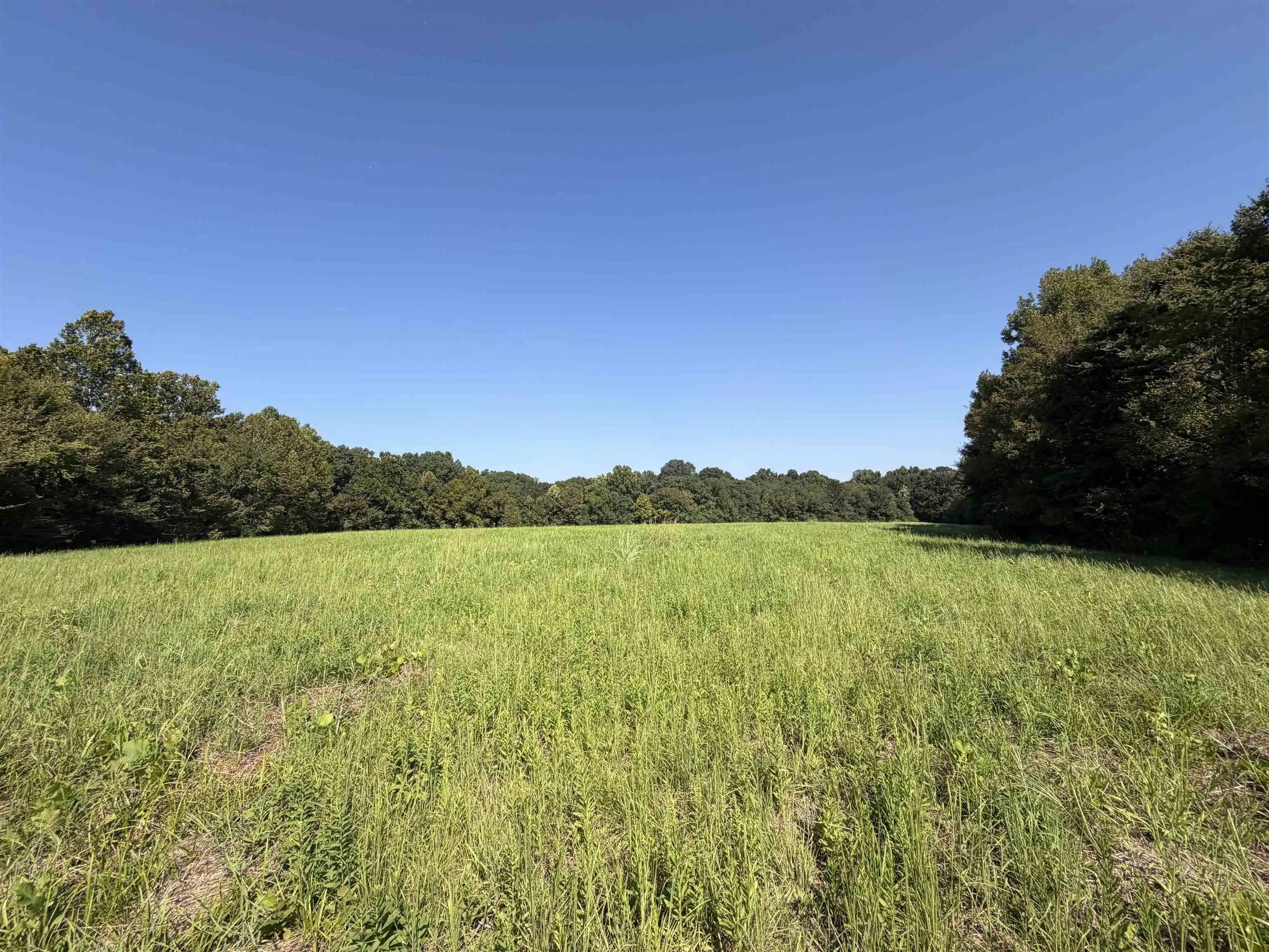 Photo 2 of Land for sale at 7634 Acres Terry Rd, Oakland, TN 38060 | MLS# 10230909 | Listing updated on 2026-09-22