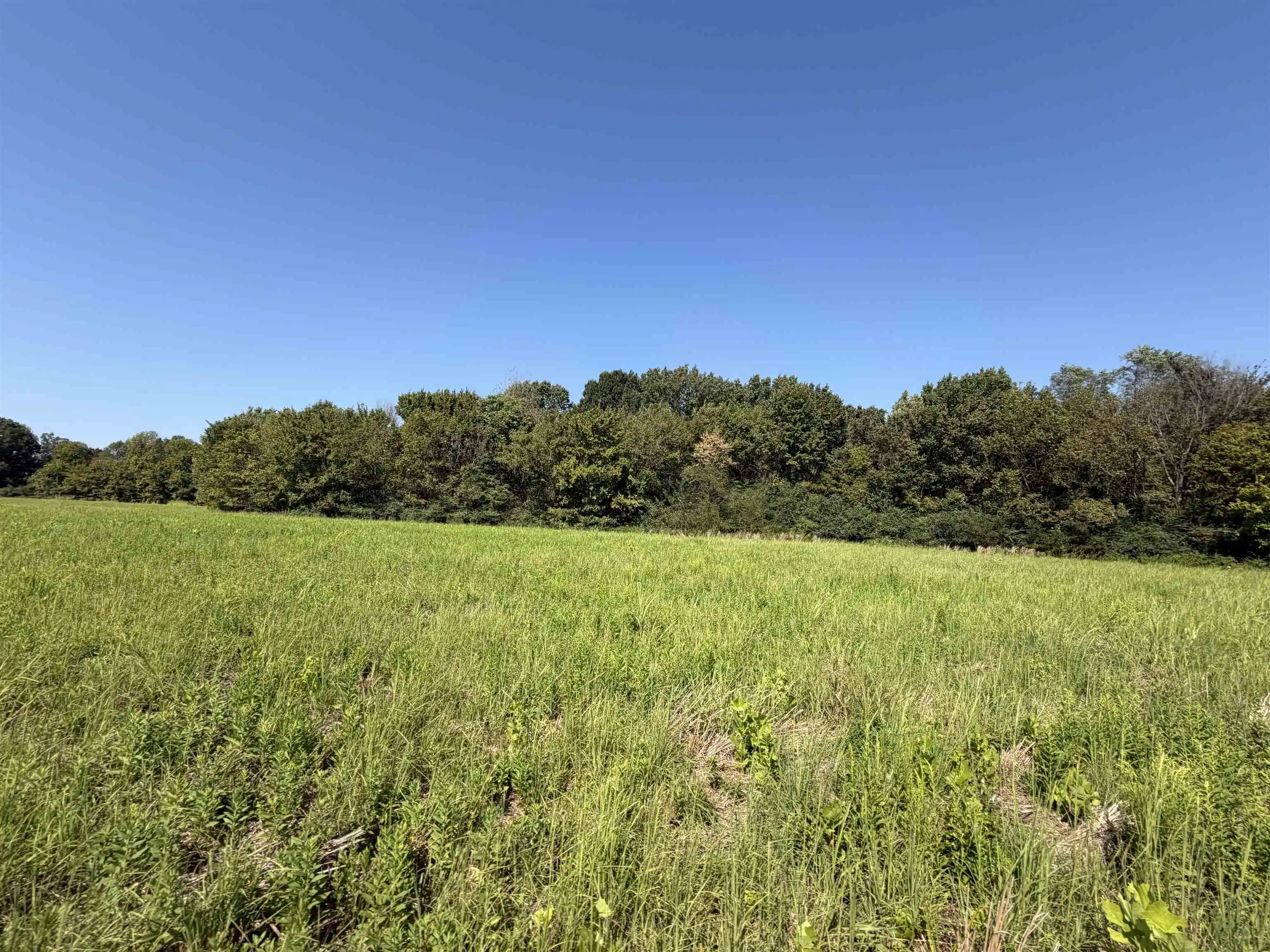 Photo 3 of Land for sale at 7634 Acres Terry Rd, Oakland, TN 38060 | MLS# 10230909 | Listing updated on 2026-09-22