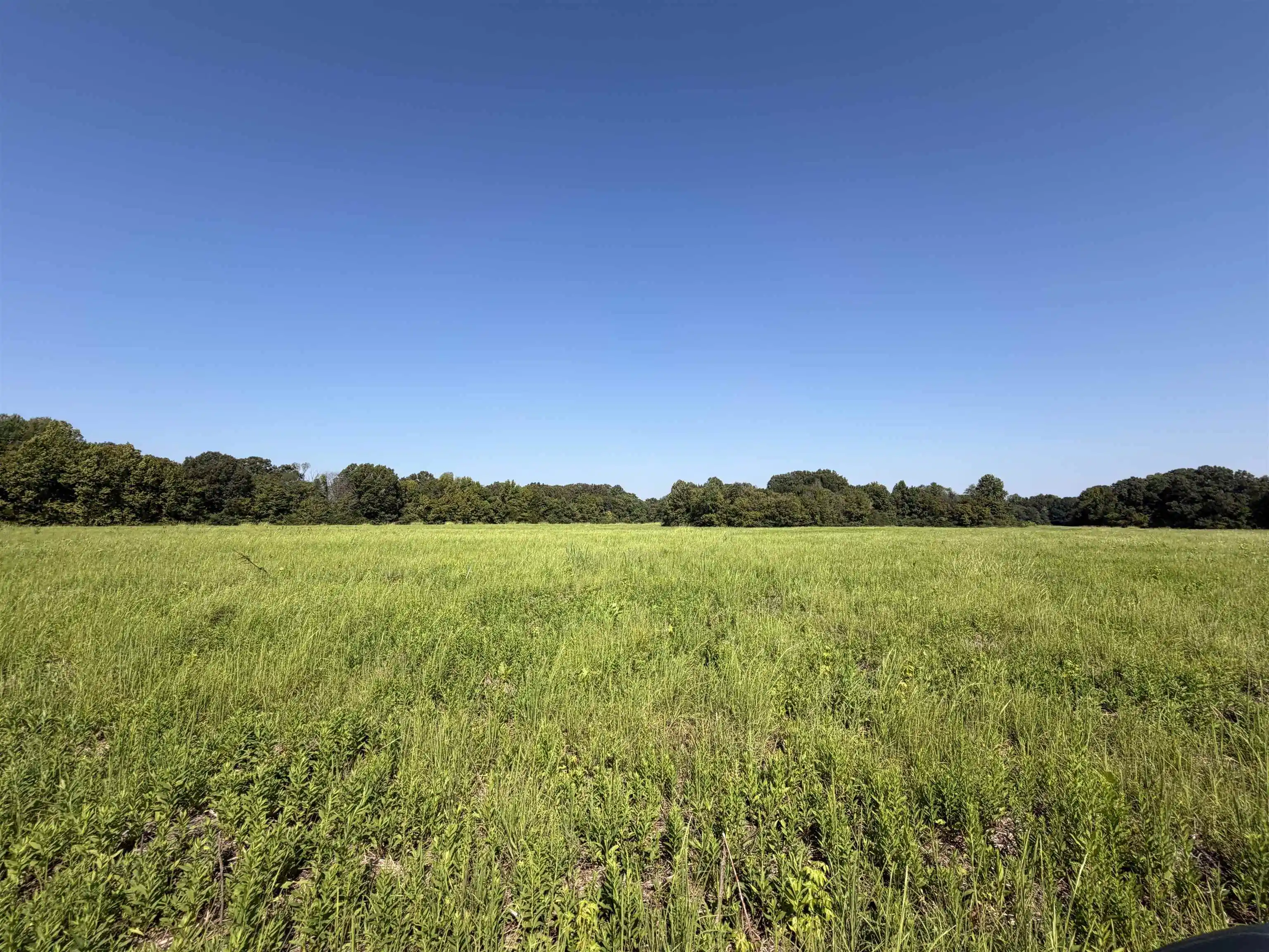 Photo 3 of Land for sale at 7634 Acres Terry Rd, Oakland, TN 38060 | MLS# 10230909 | Listing updated on 2026-09-22