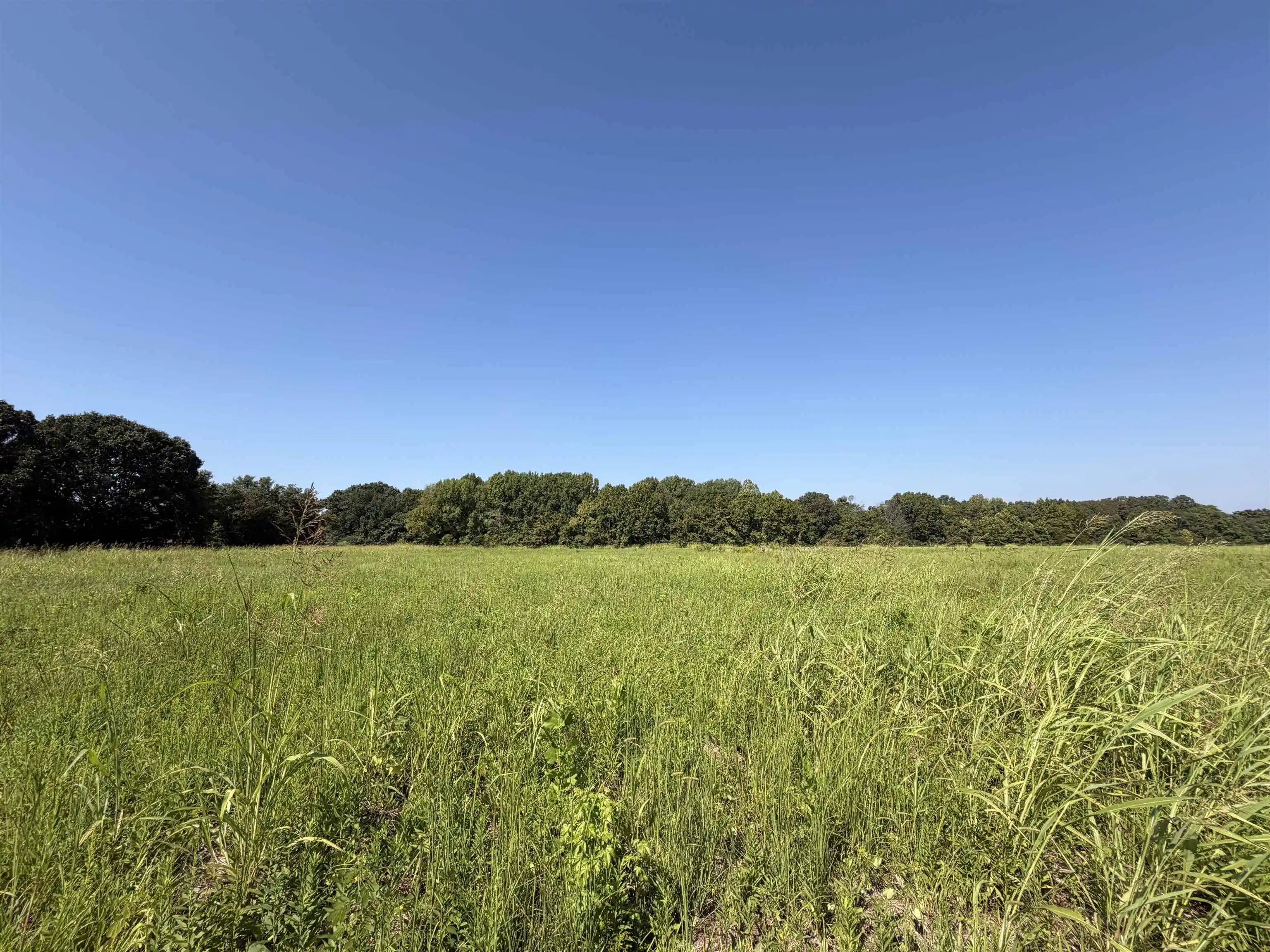 Photo 4 of Land for sale at 7634 Acres Terry Rd, Oakland, TN 38060 | MLS# 10230909 | Listing updated on 2026-09-22