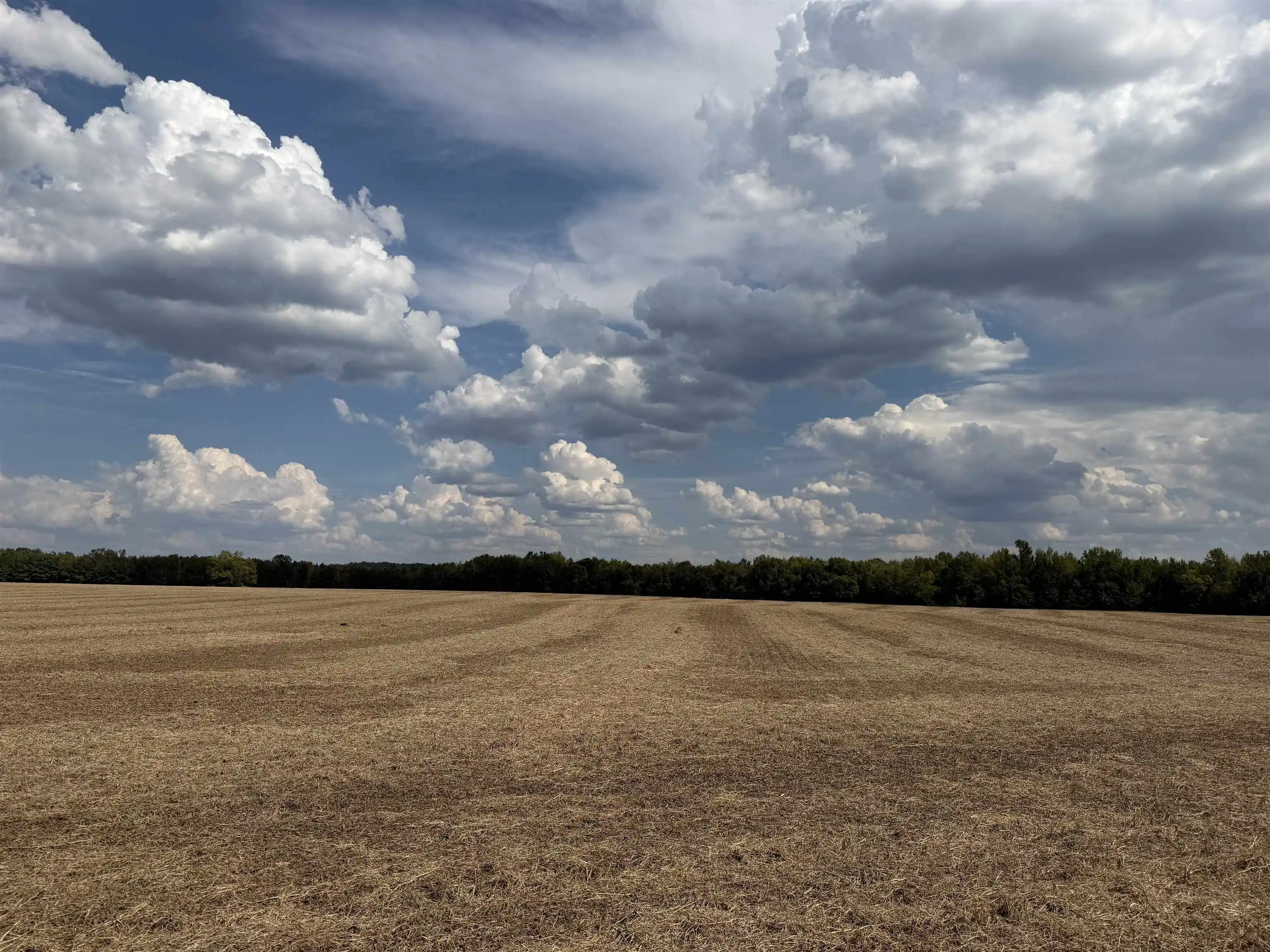 Photo 2 of Land for sale at 0 Teal Ln, Savannah, TN 38372 | MLS# 10230983 | Listing updated on 2026-09-23