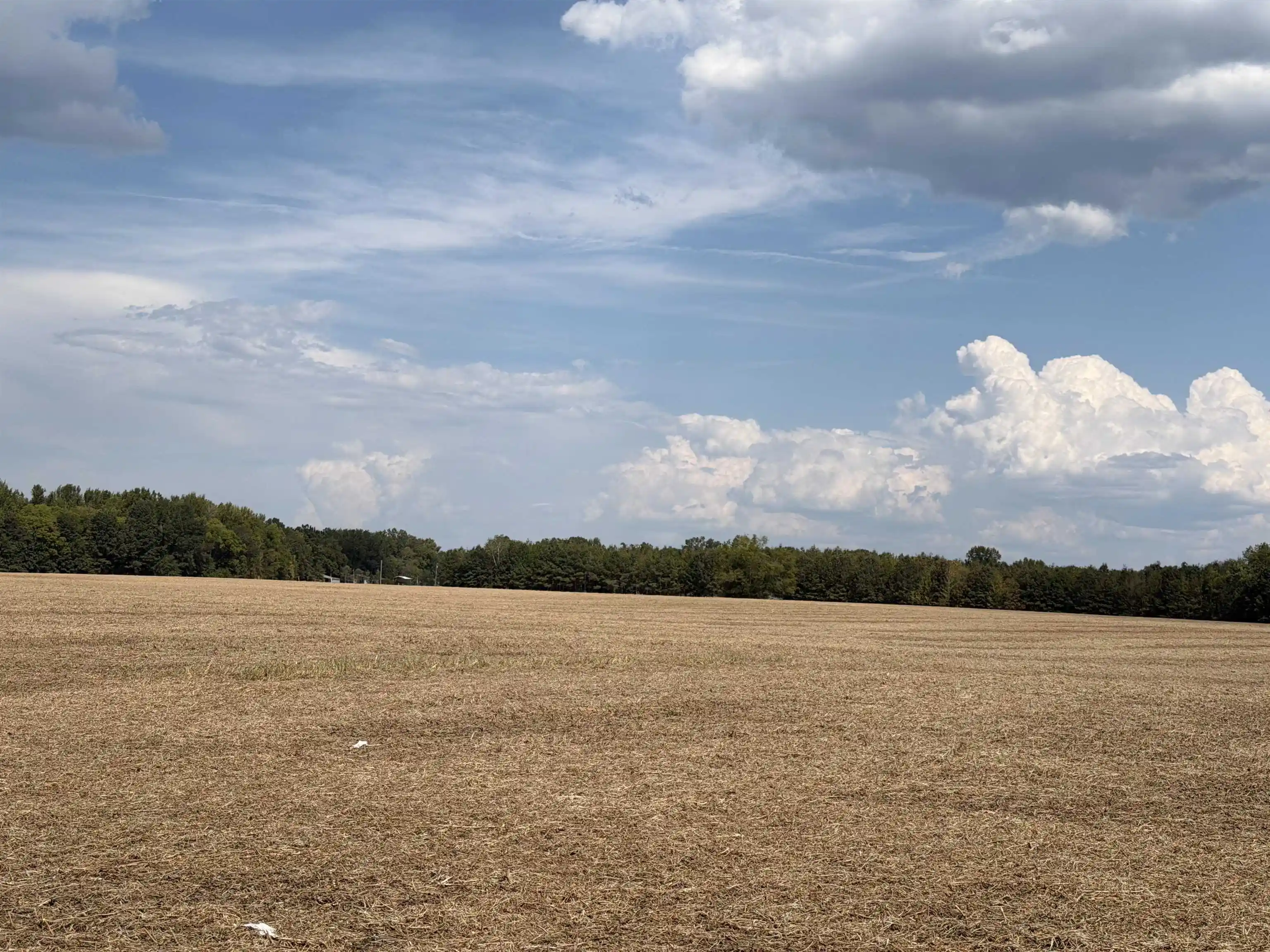 Photo 3 of Land for sale at 0 Teal Ln, Savannah, TN 38372 | MLS# 10230983 | Listing updated on 2026-09-23