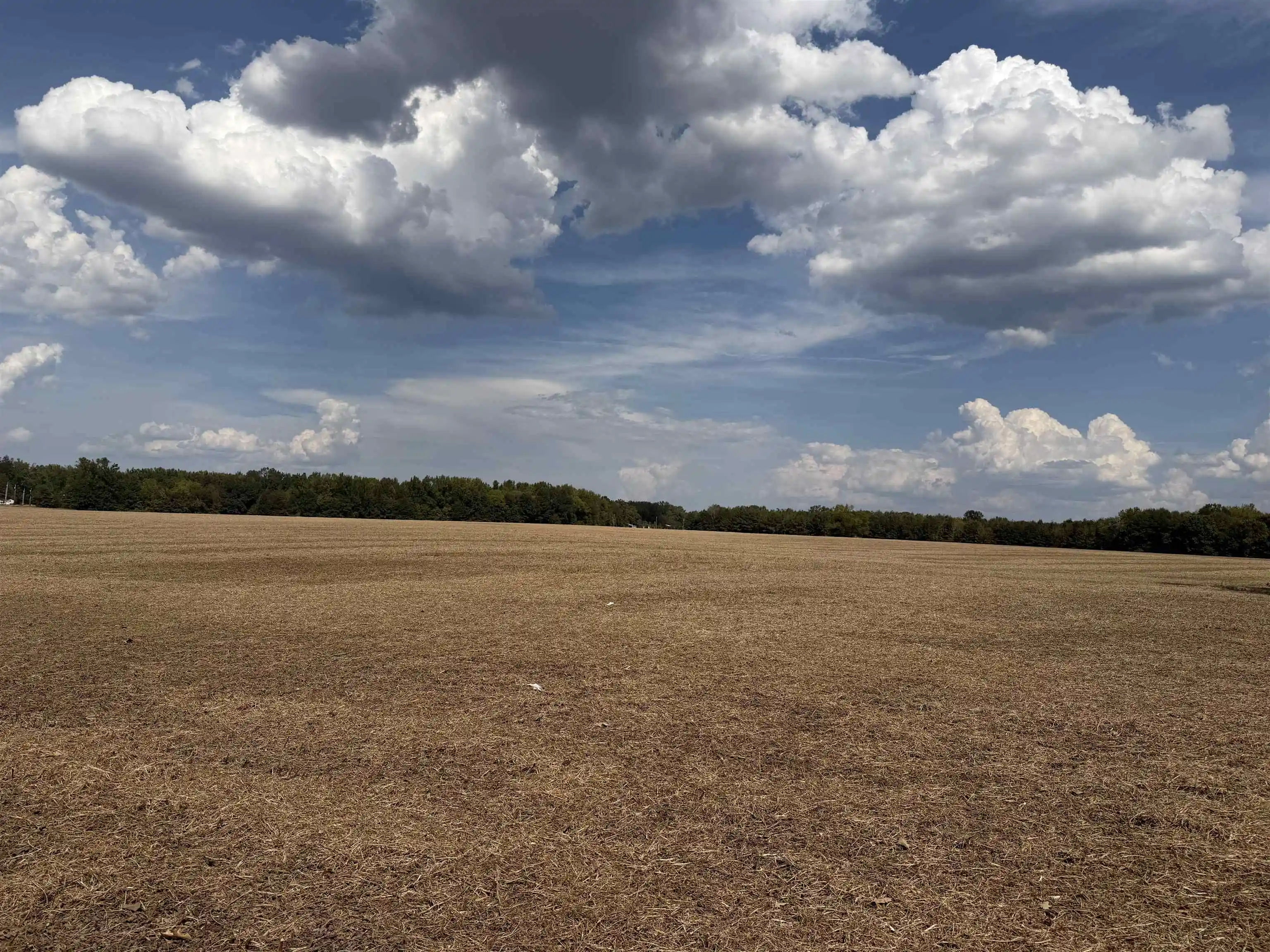 Photo 3 of Land for sale at 0 Teal Ln, Savannah, TN 38372 | MLS# 10230983 | Listing updated on 2026-09-23