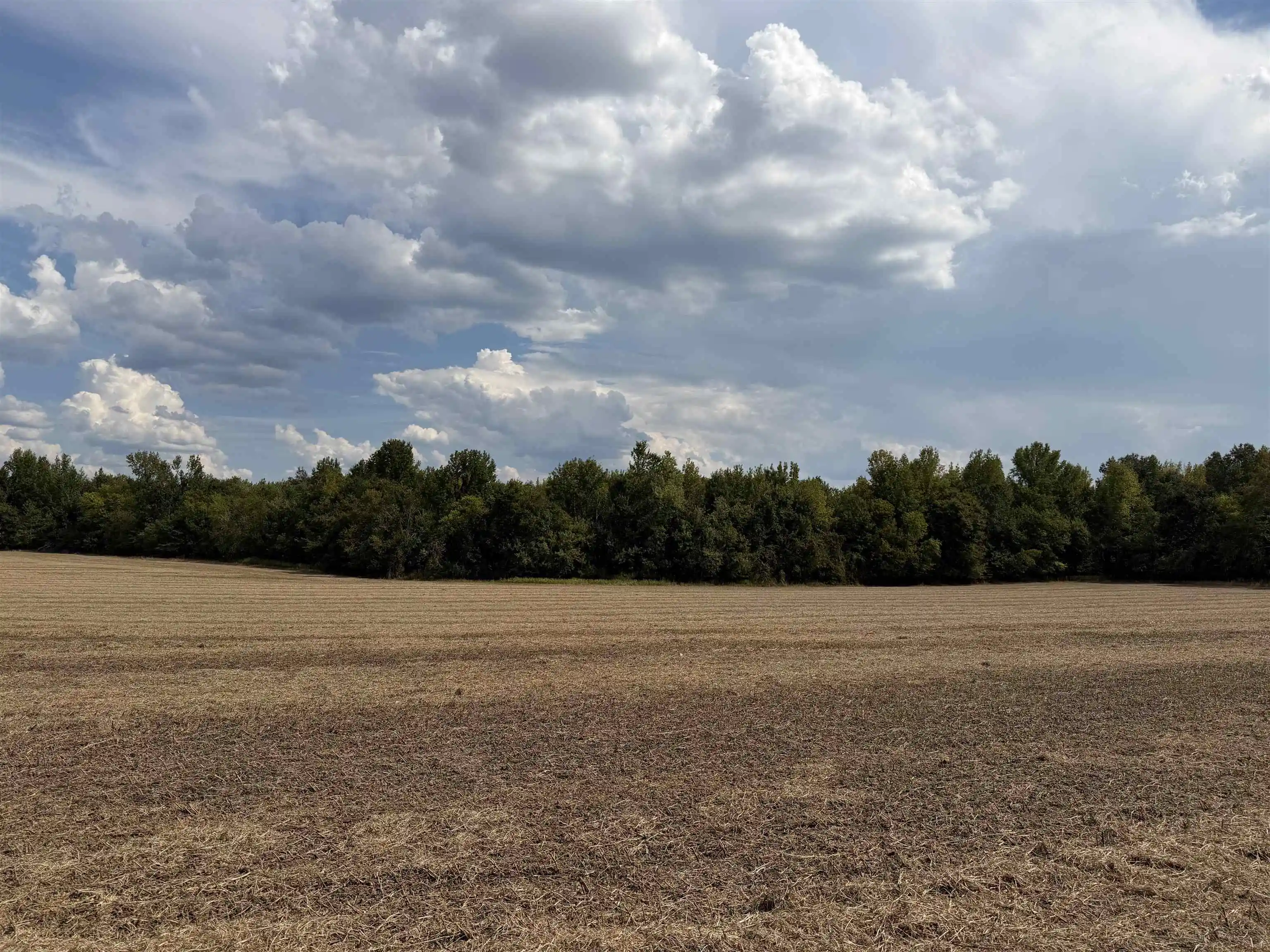 Photo 4 of Land for sale at 0 Teal Ln, Savannah, TN 38372 | MLS# 10230983 | Listing updated on 2026-09-23