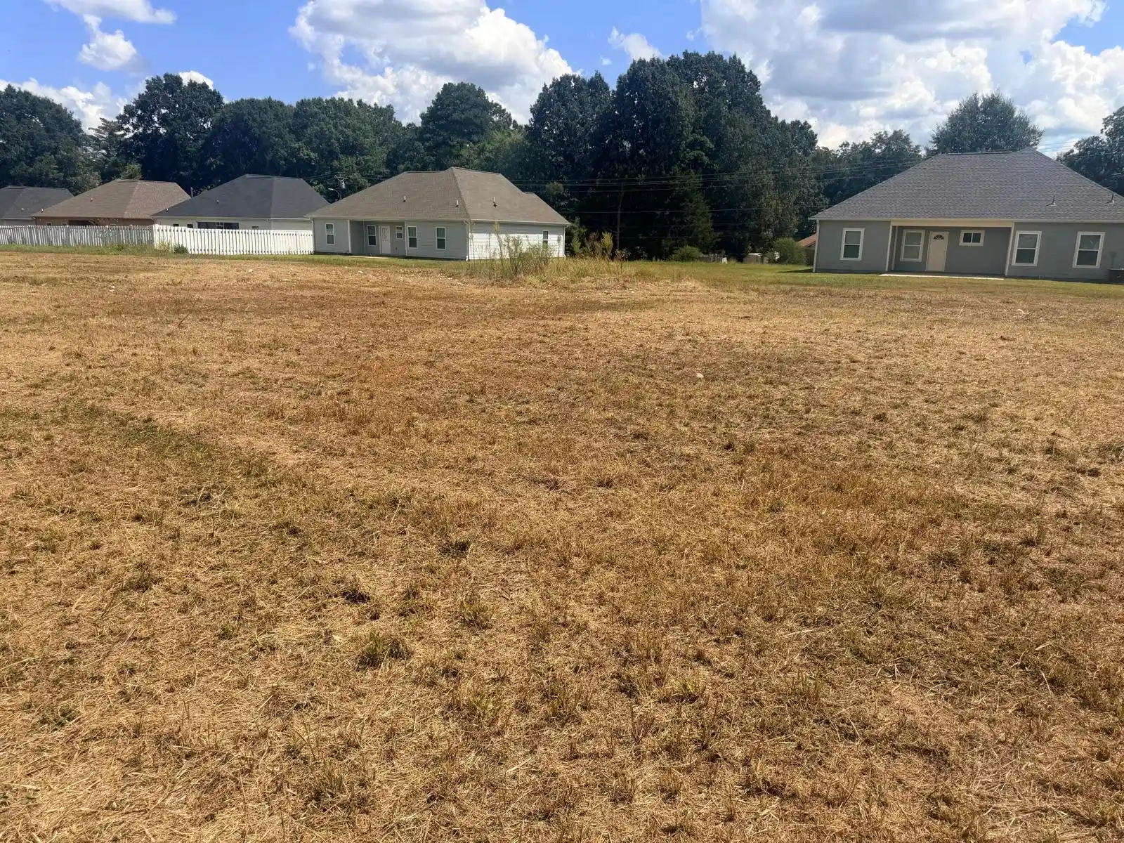 Photo 1 of Land for sale at 100 Cris Jean Cv, Whiteville, TN 38075 | MLS# 10230988 | Listing updated on 2026-09-23